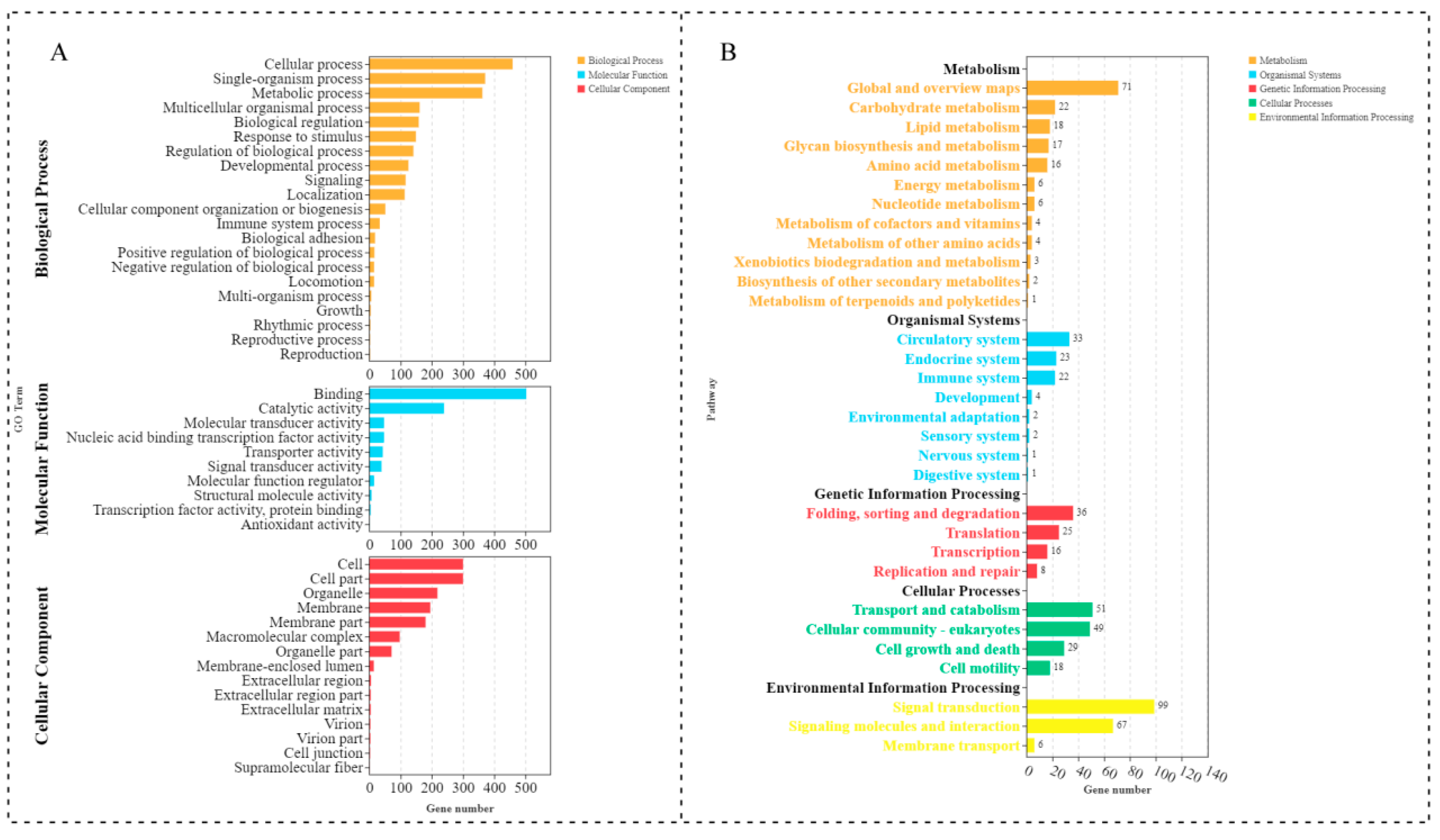Ijms 23 08944 g005 Ijms 23 08944 g005