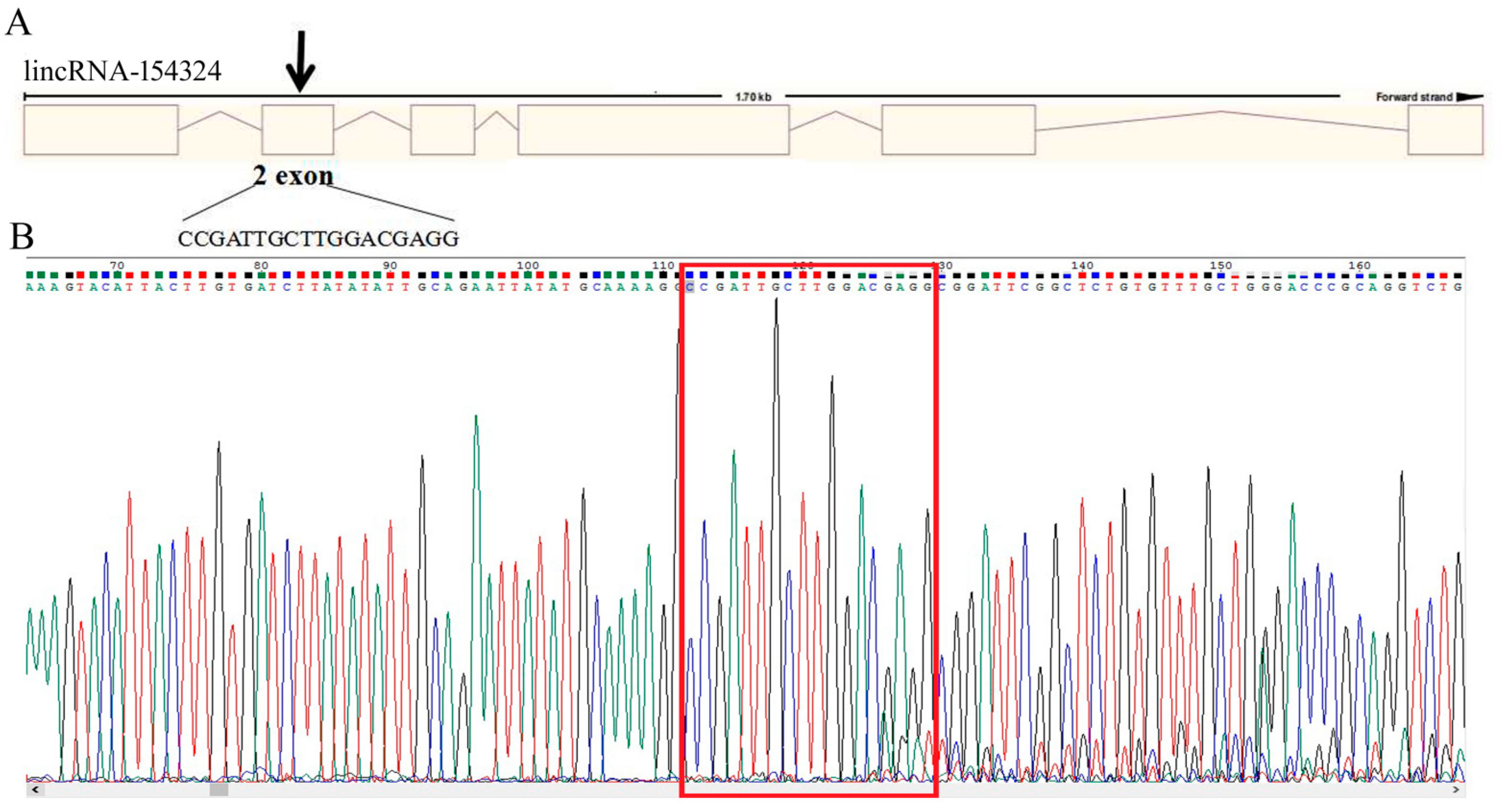 Ijms 23 08944 g008 Ijms 23 08944 g008