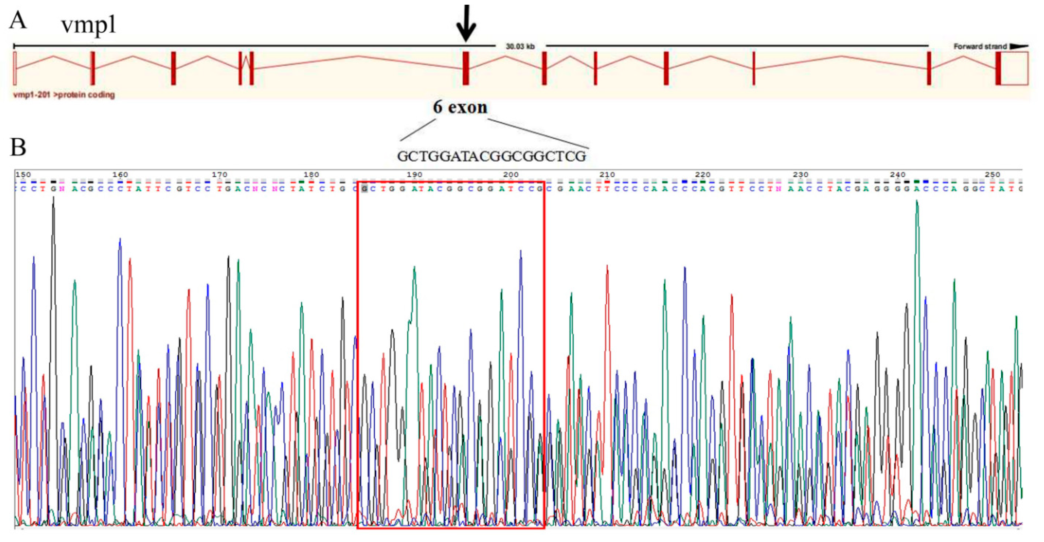 Ijms 23 08944 g011 Ijms 23 08944 g011