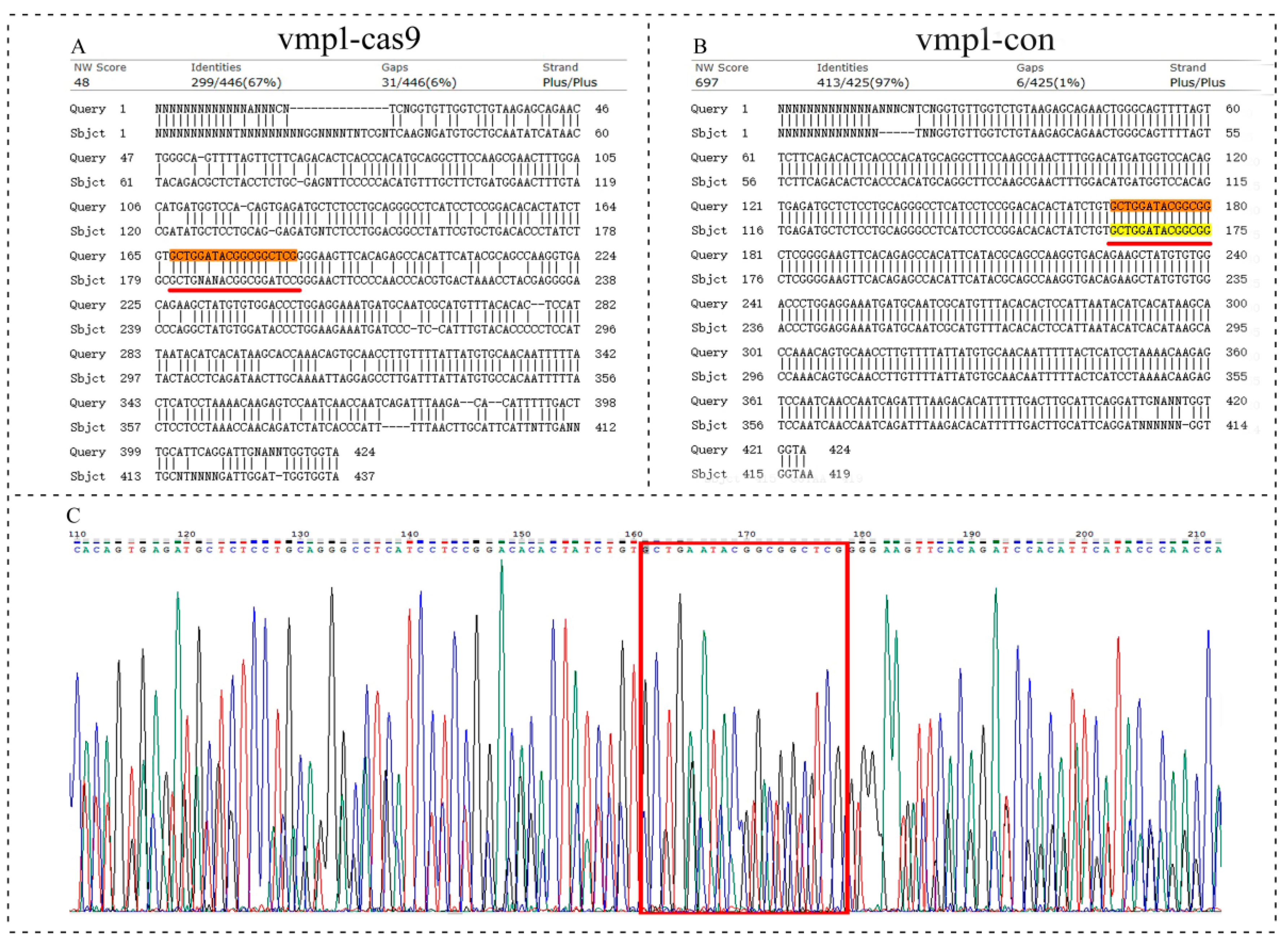 Ijms 23 08944 g012 Ijms 23 08944 g012