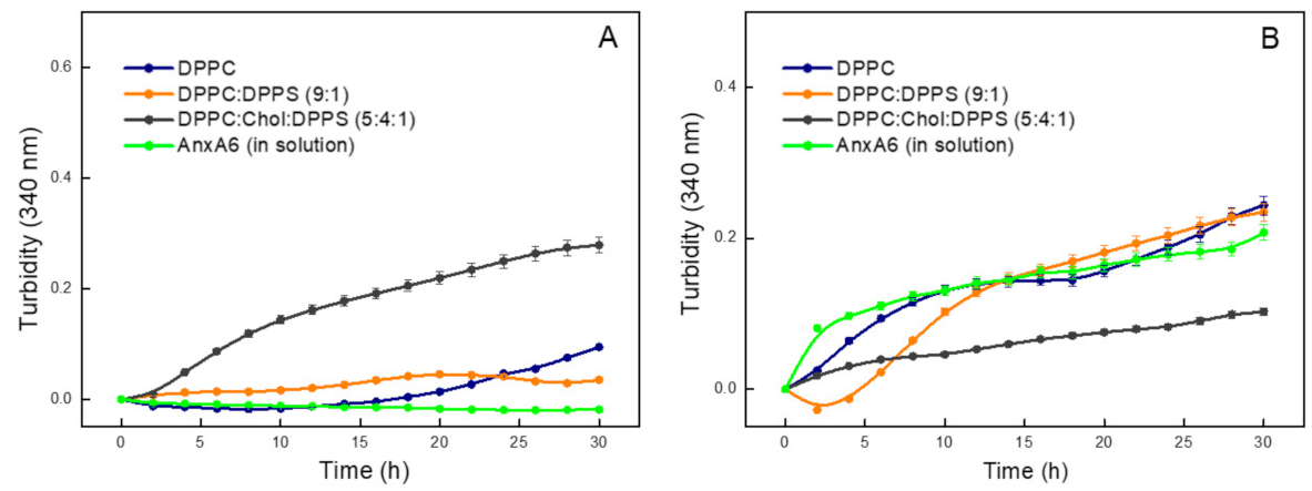 Ijms 23 08945 g001 Ijms 23 08945 g001