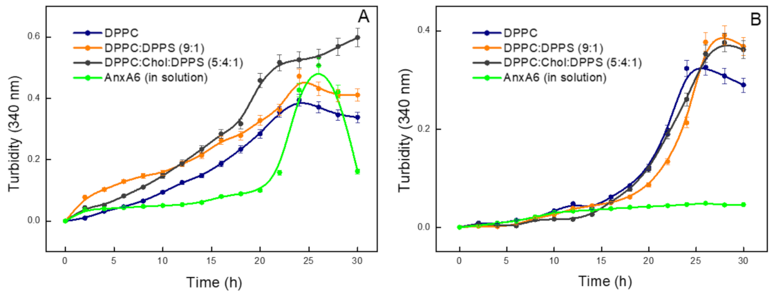 Ijms 23 08945 g002 Ijms 23 08945 g002