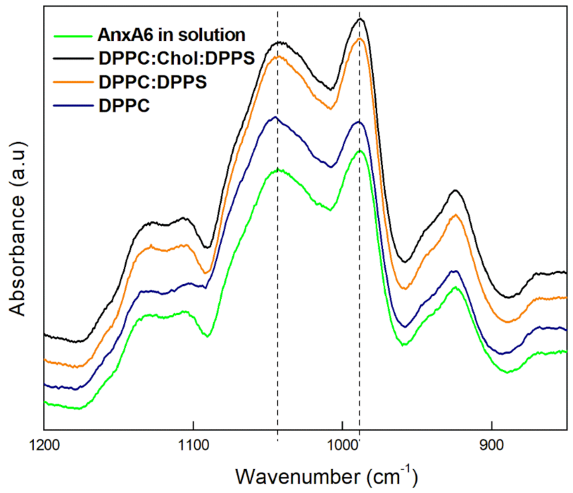 Ijms 23 08945 g003 Ijms 23 08945 g003
