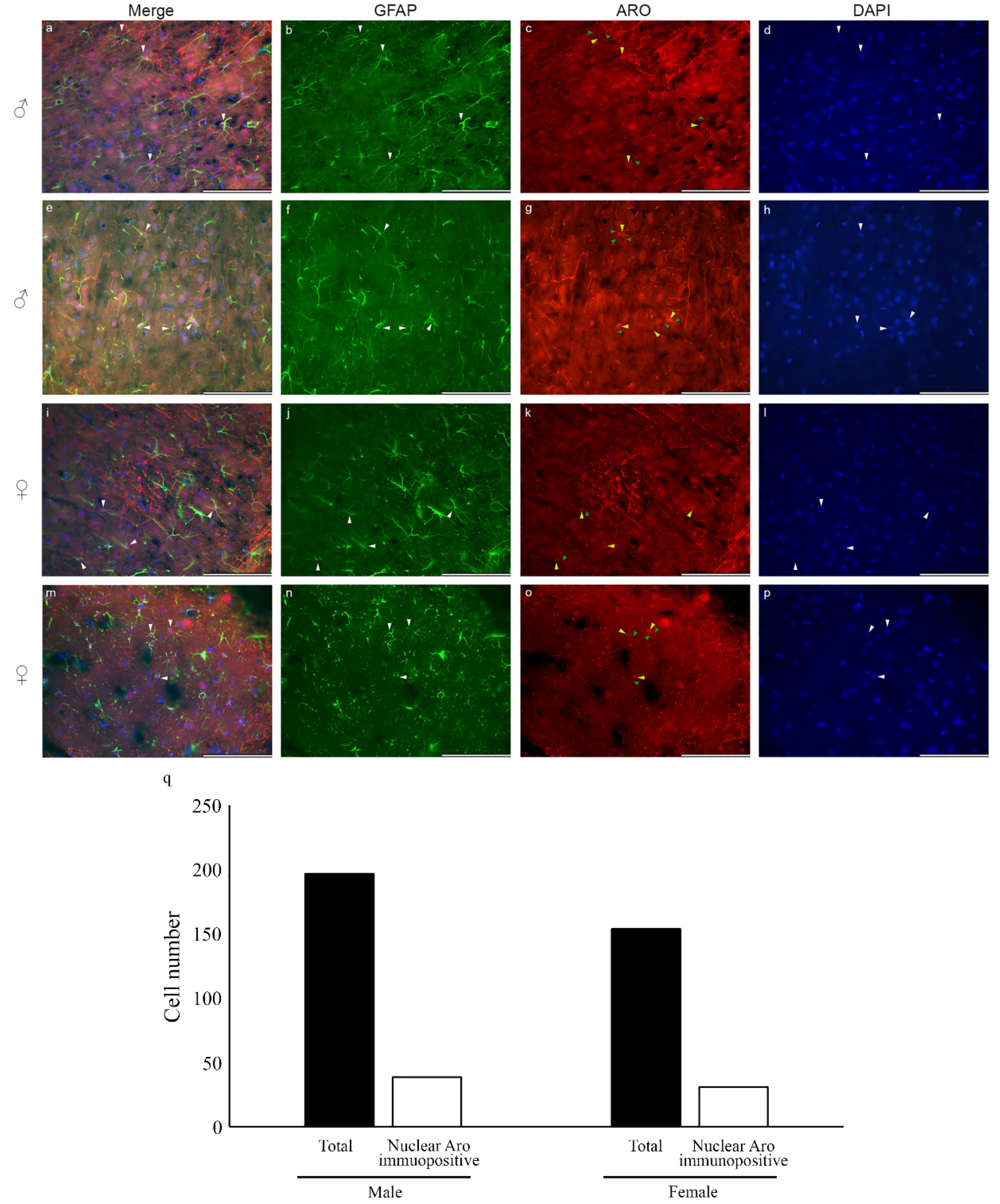 Ijms 23 08946 g005 Ijms 23 08946 g005