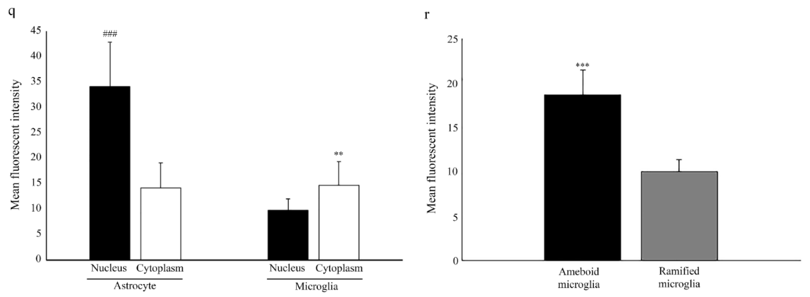 Ijms 23 08946 g006b Ijms 23 08946 g006b