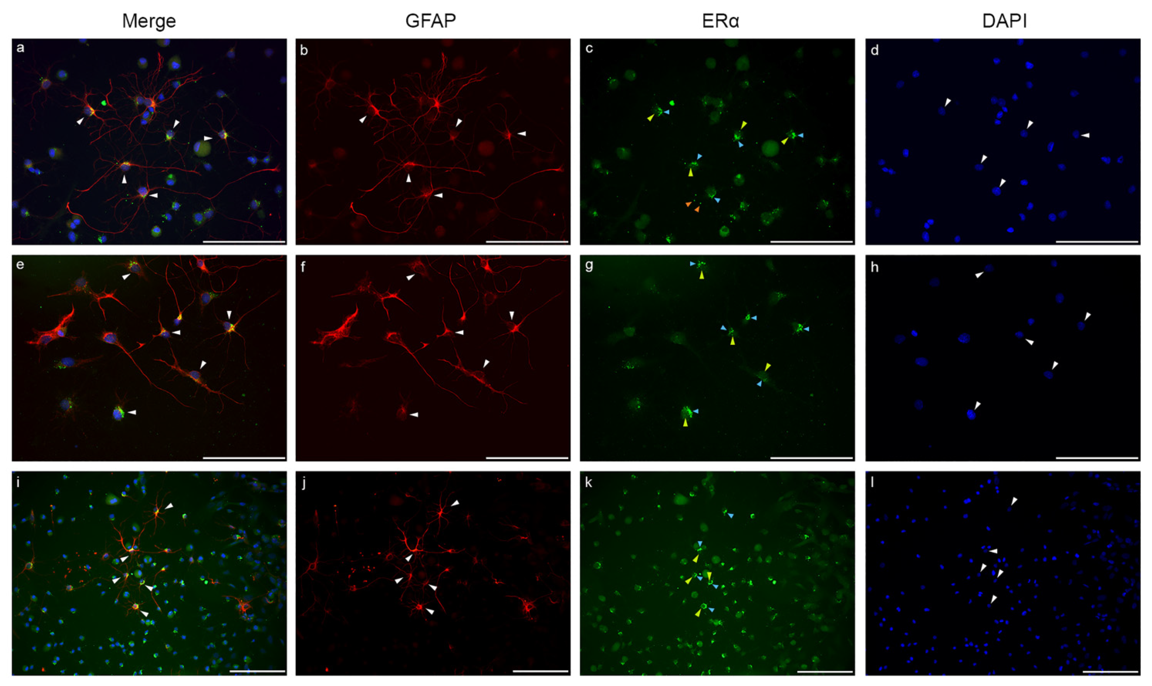 Ijms 23 08946 g007 Ijms 23 08946 g007