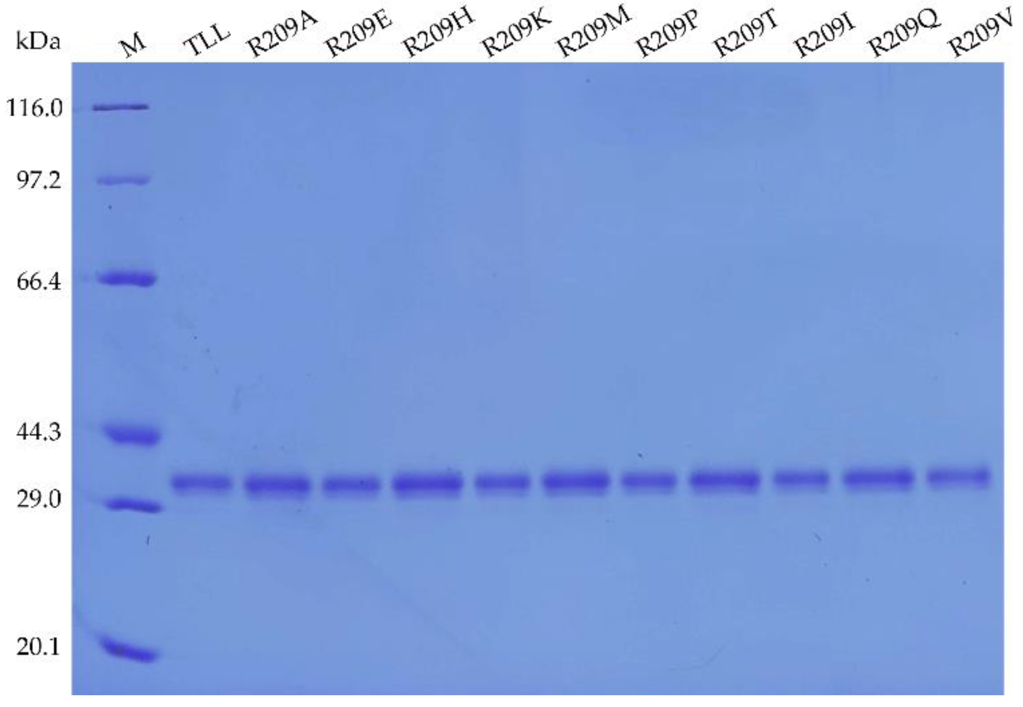 Ijms 23 08963 g001