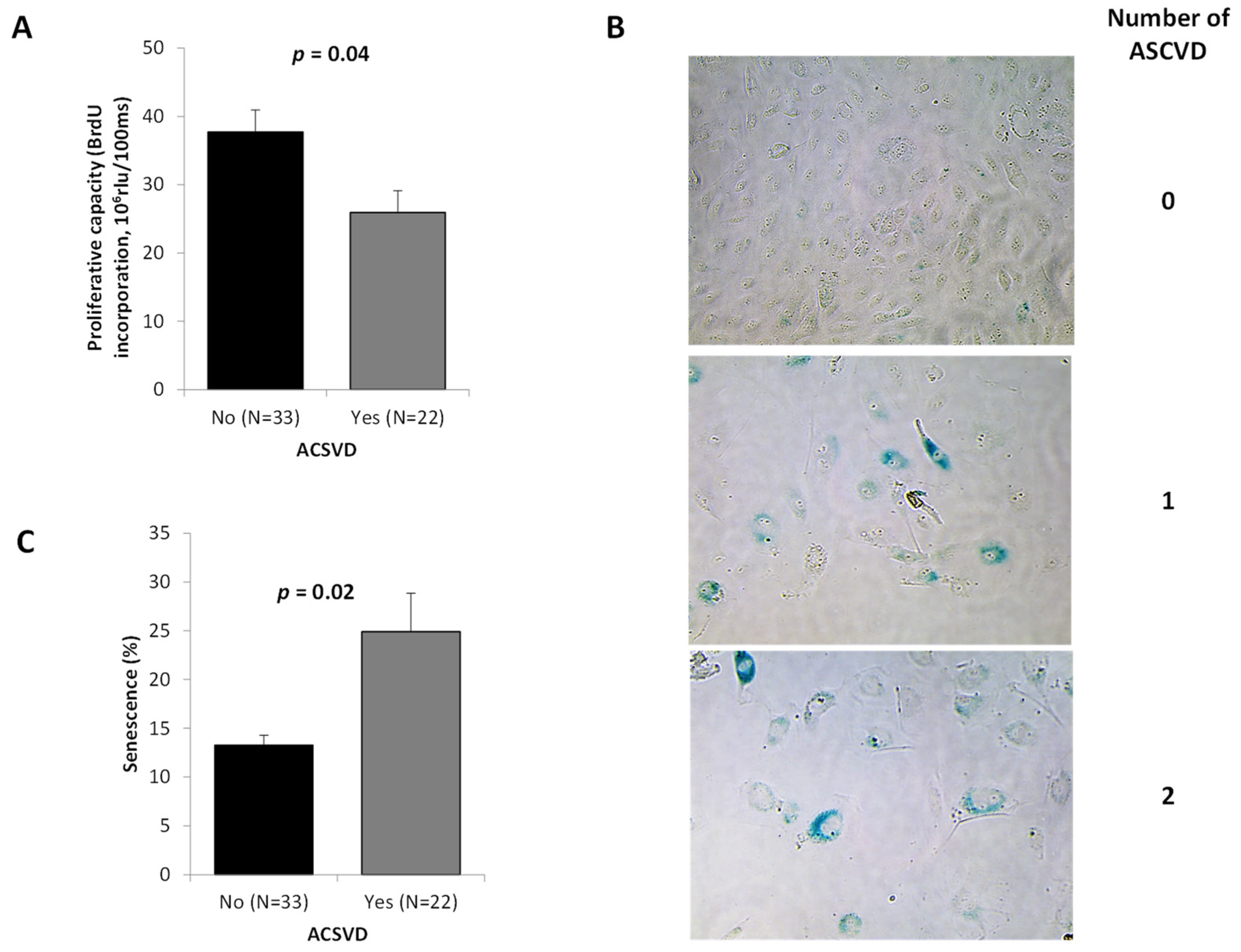 Ijms 23 08969 g002 Ijms 23 08969 g002