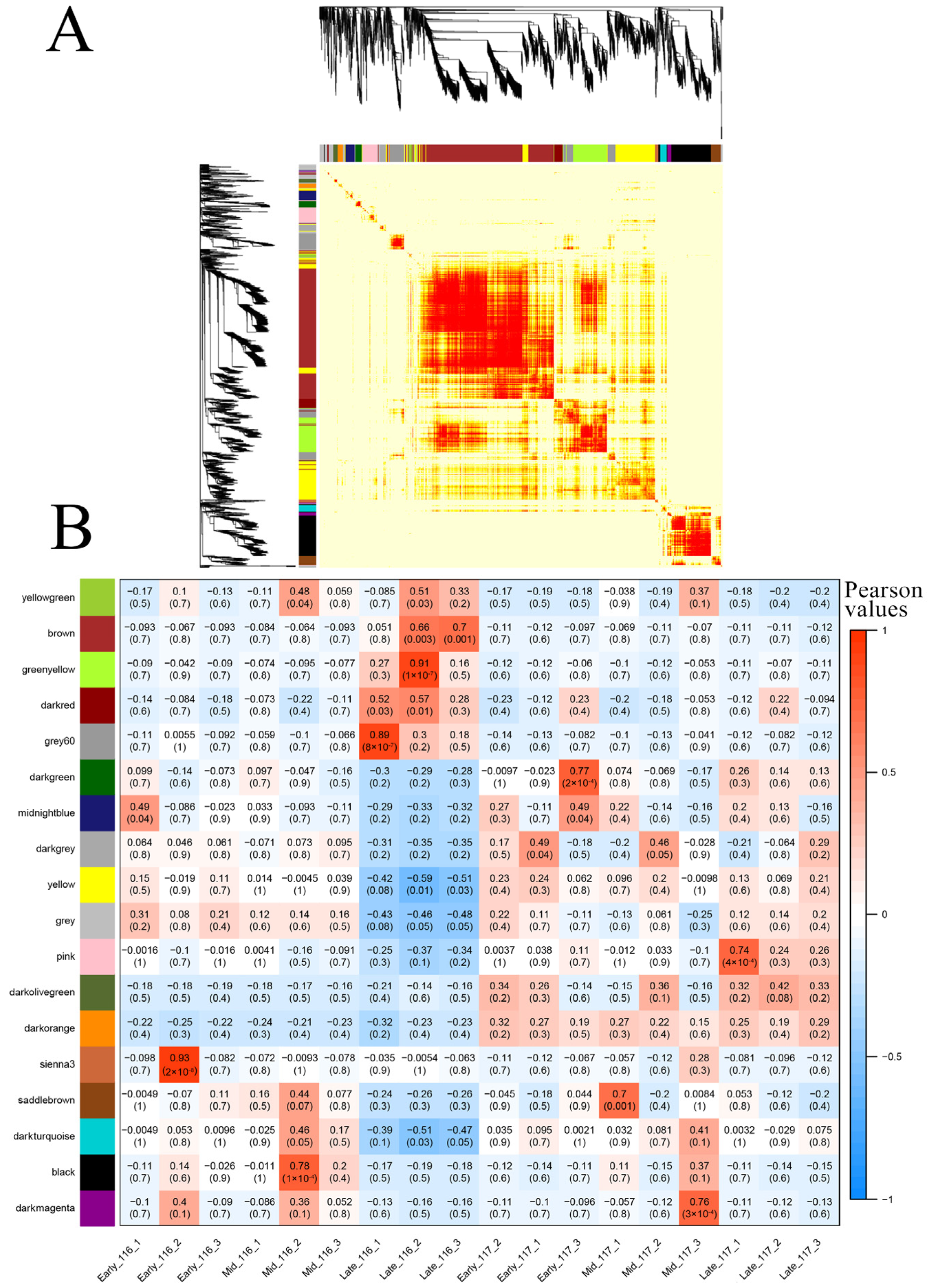 Ijms Free Full Text Transcriptome Analysis To Identify Genes Related To Flowering Reversion In Tomato Html