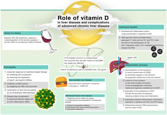 IJMS | Free Full-Text | Role of Vitamin D in Liver Disease and  Complications of Advanced Chronic Liver Disease