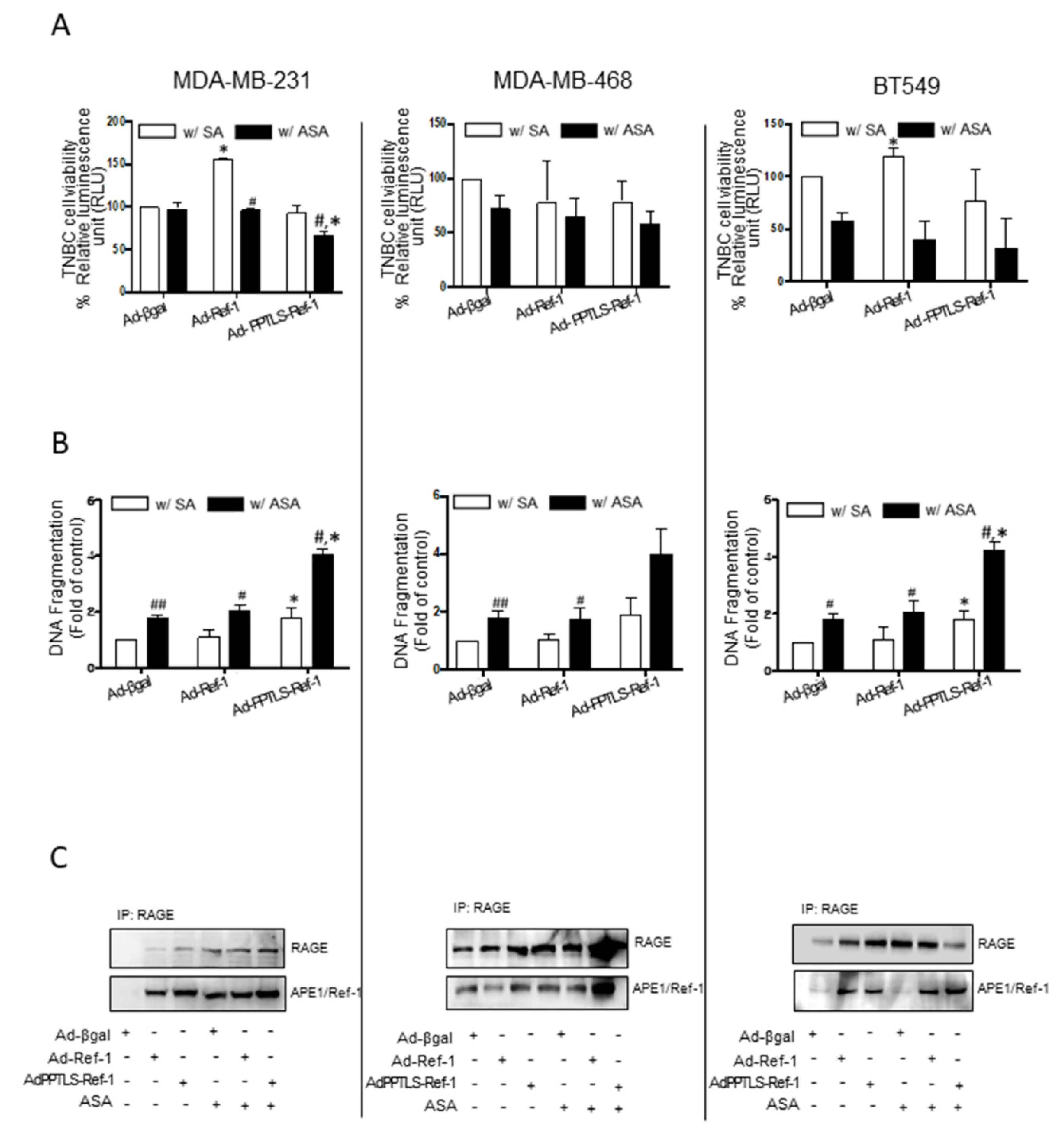Ijms 23 09021 g001 Ijms 23 09021 g001