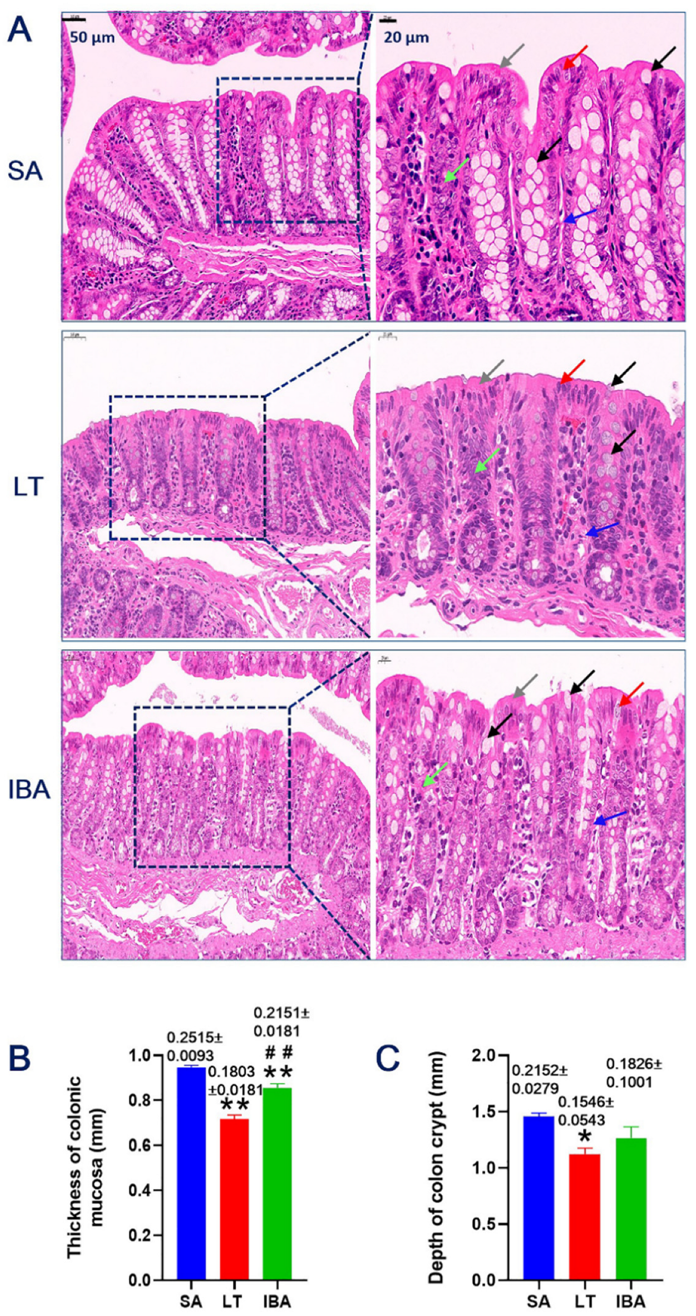 Ijms 23 09026 g001 Ijms 23 09026 g001