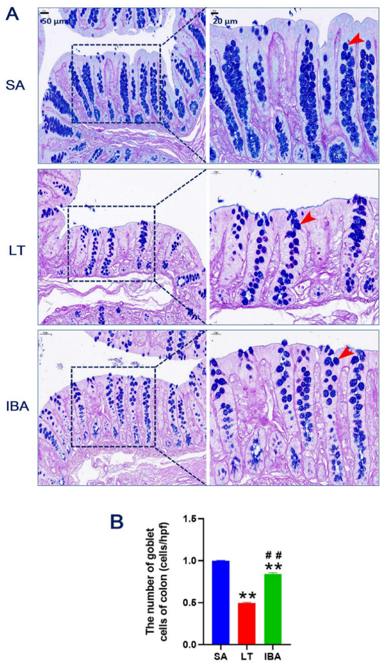 Ijms 23 09026 g002 Ijms 23 09026 g002