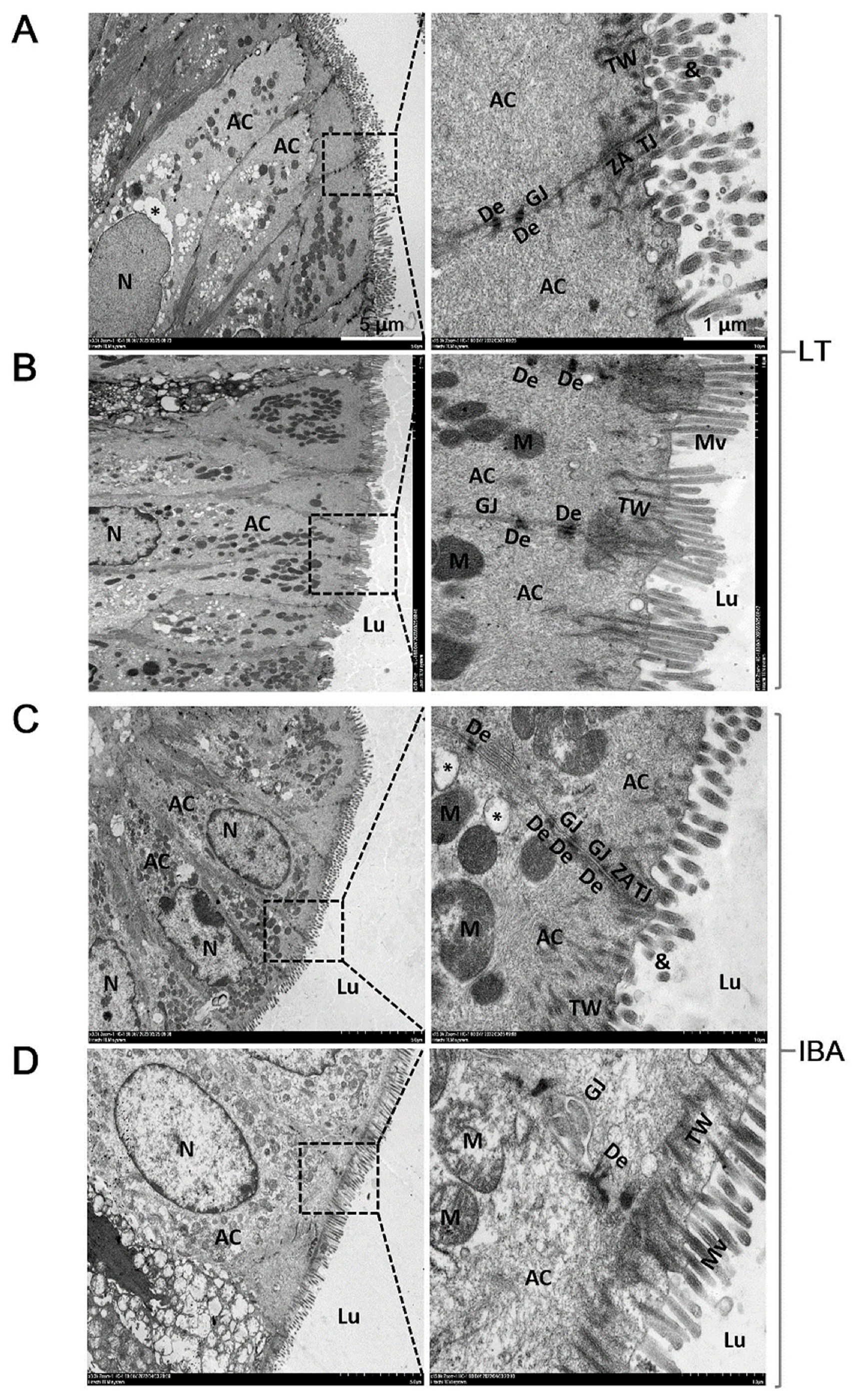 Ijms 23 09026 g003 Ijms 23 09026 g003