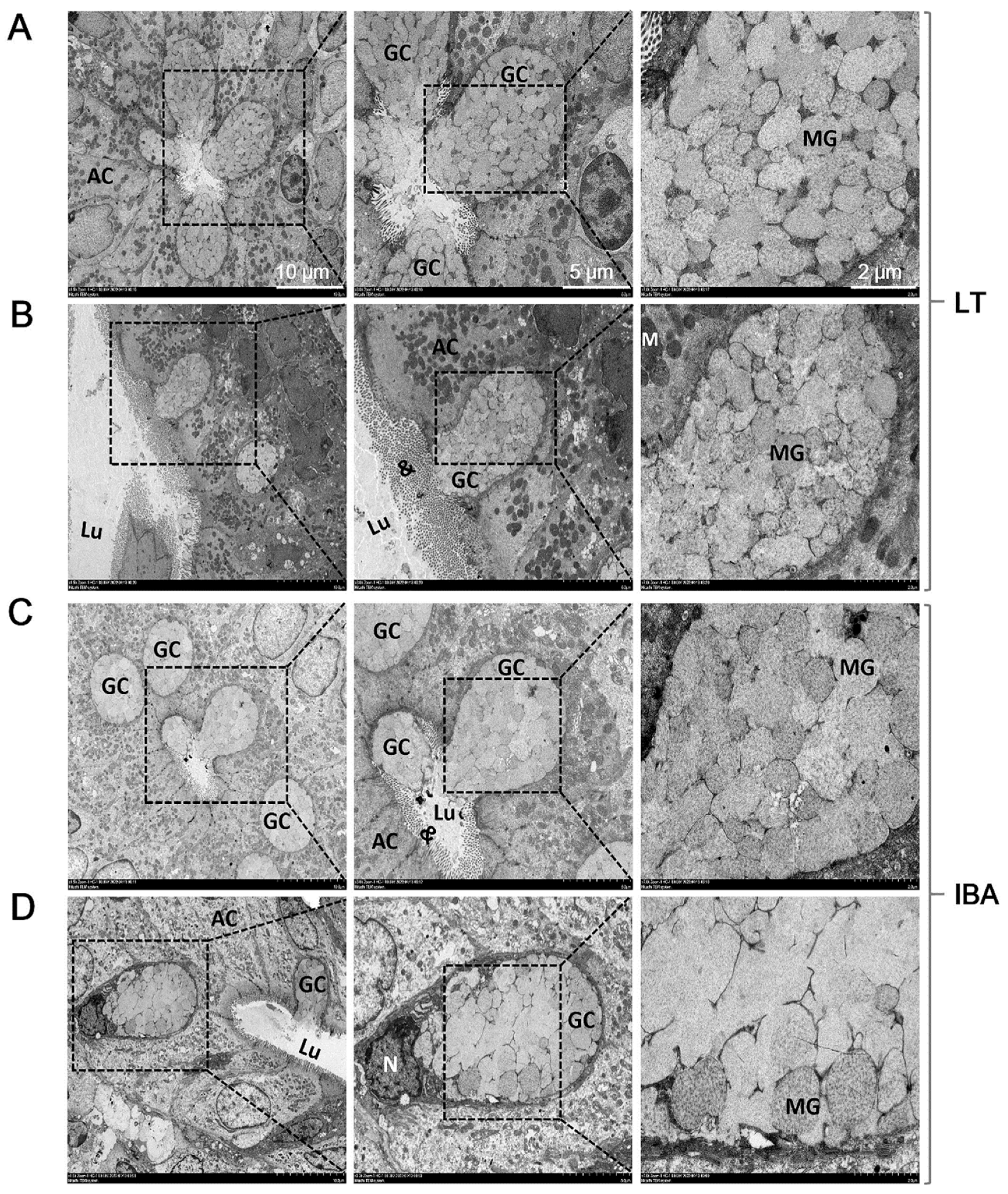 Ijms 23 09026 g004 Ijms 23 09026 g004