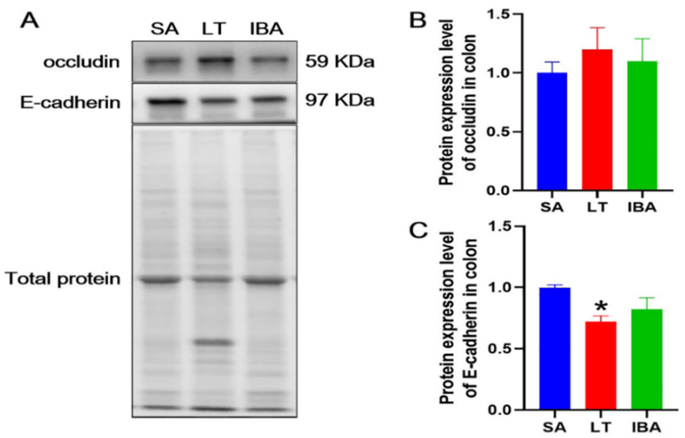 Ijms 23 09026 g008 Ijms 23 09026 g008