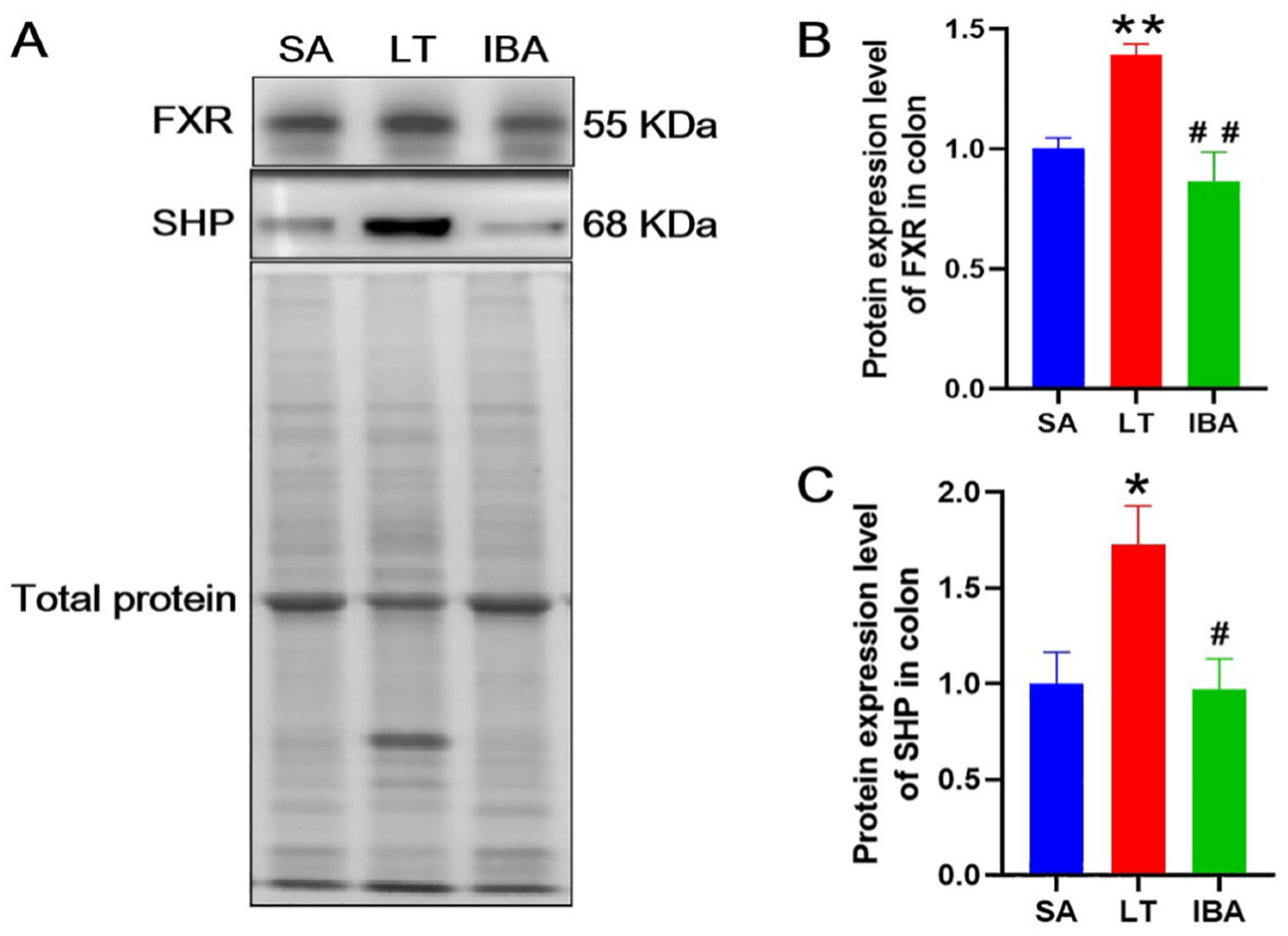 Ijms 23 09026 g012 Ijms 23 09026 g012