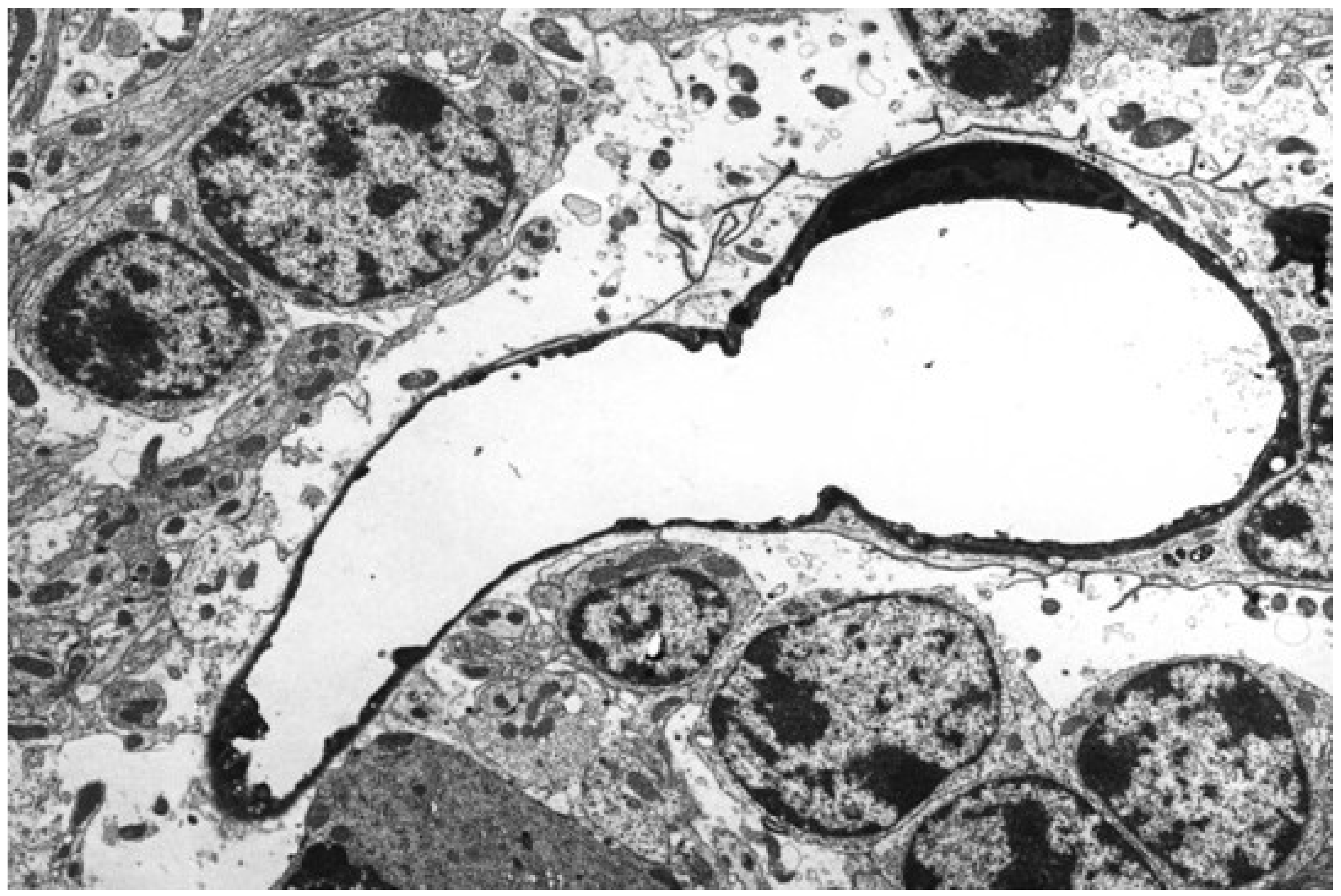 Ijms 23 09050 g002