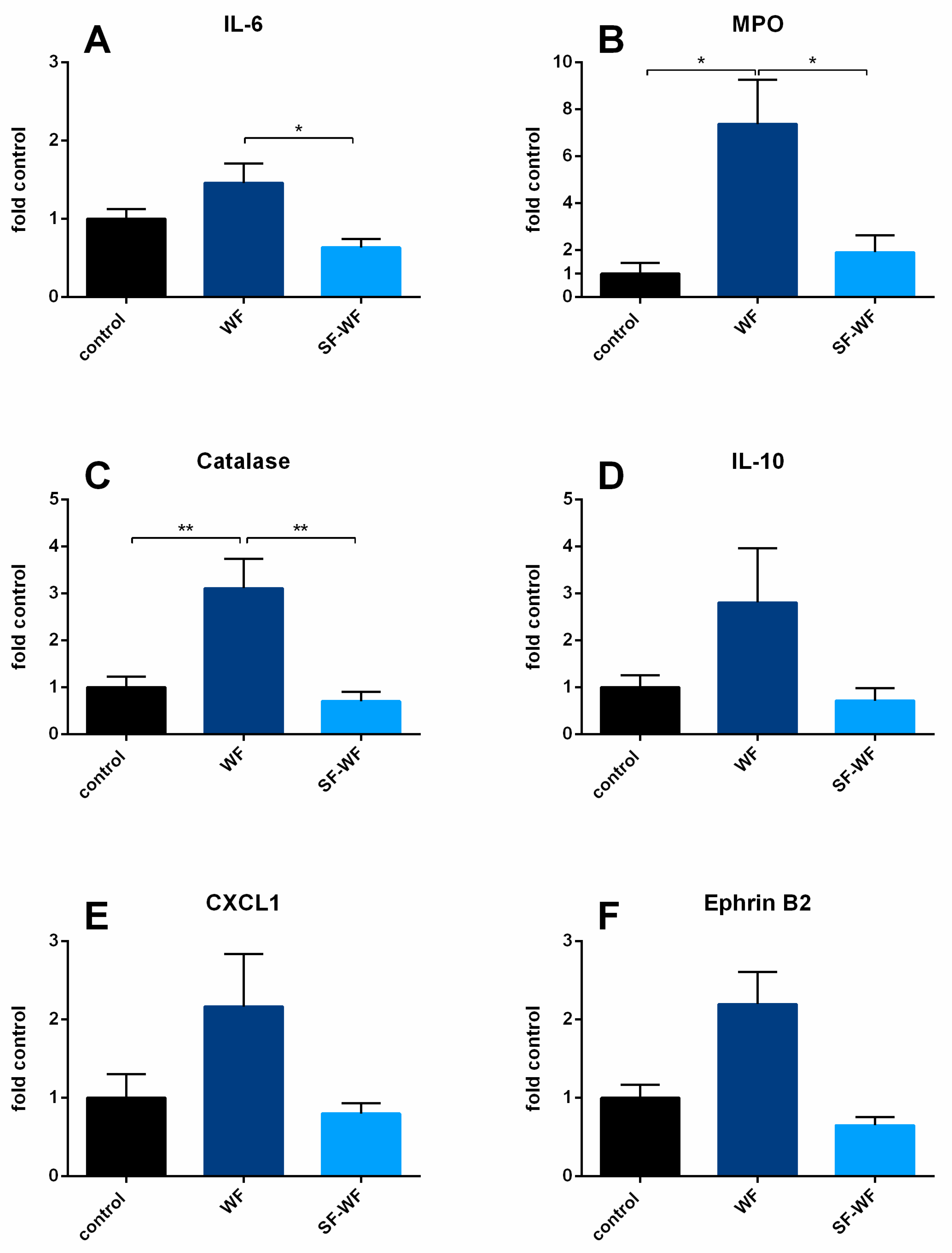 Ijms 23 09052 g005 Ijms 23 09052 g005