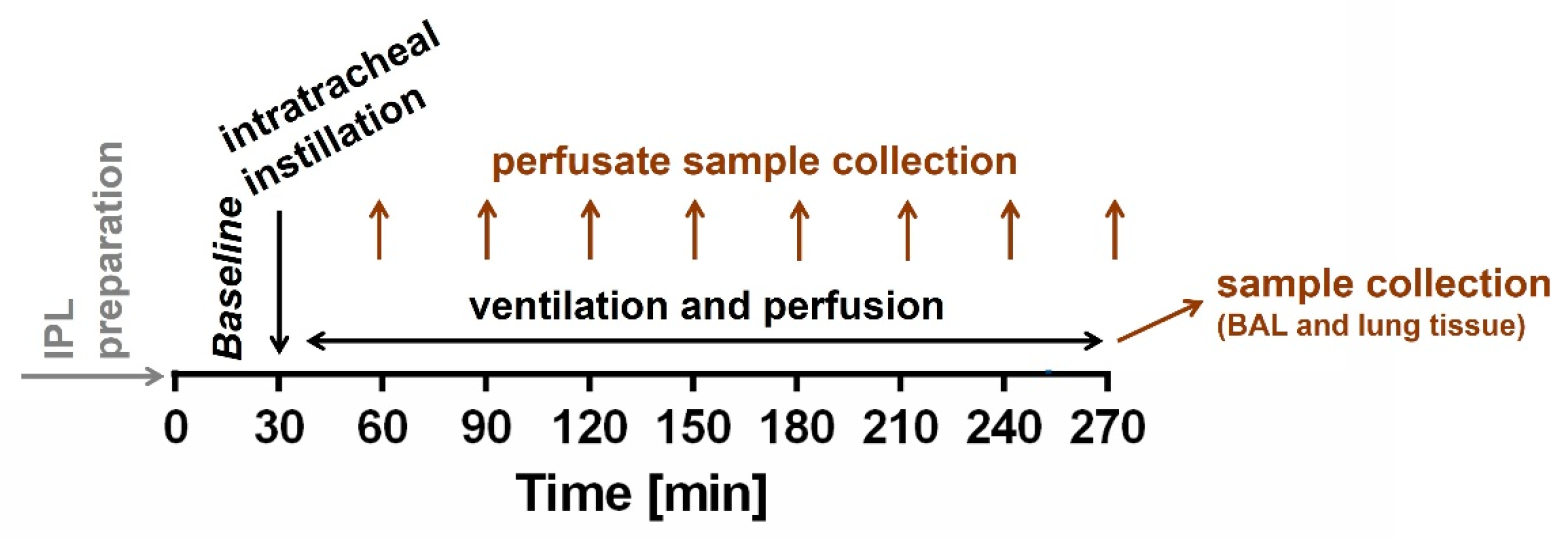Ijms 23 09052 g006 Ijms 23 09052 g006