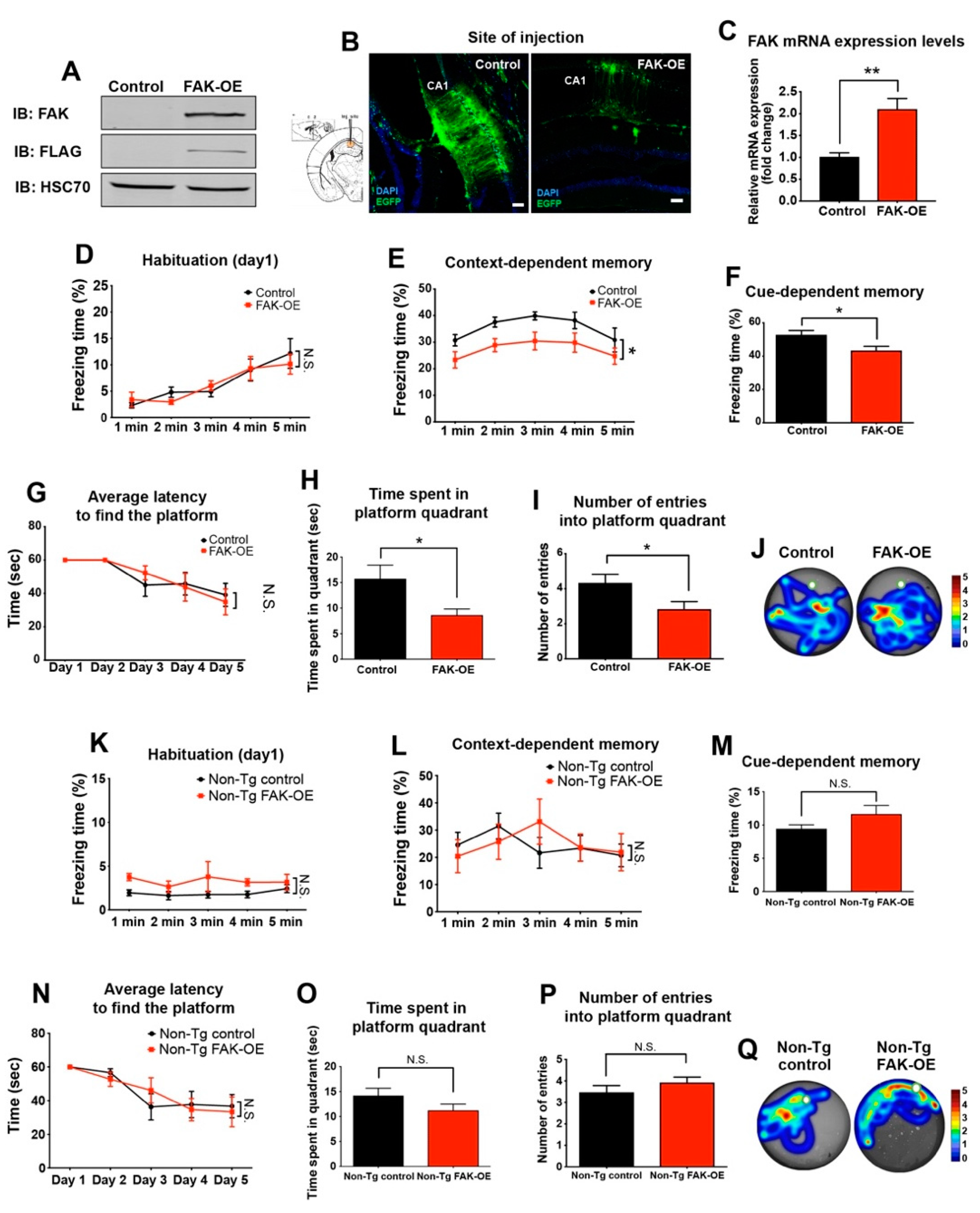 Ijms 23 09055 g002 Ijms 23 09055 g002