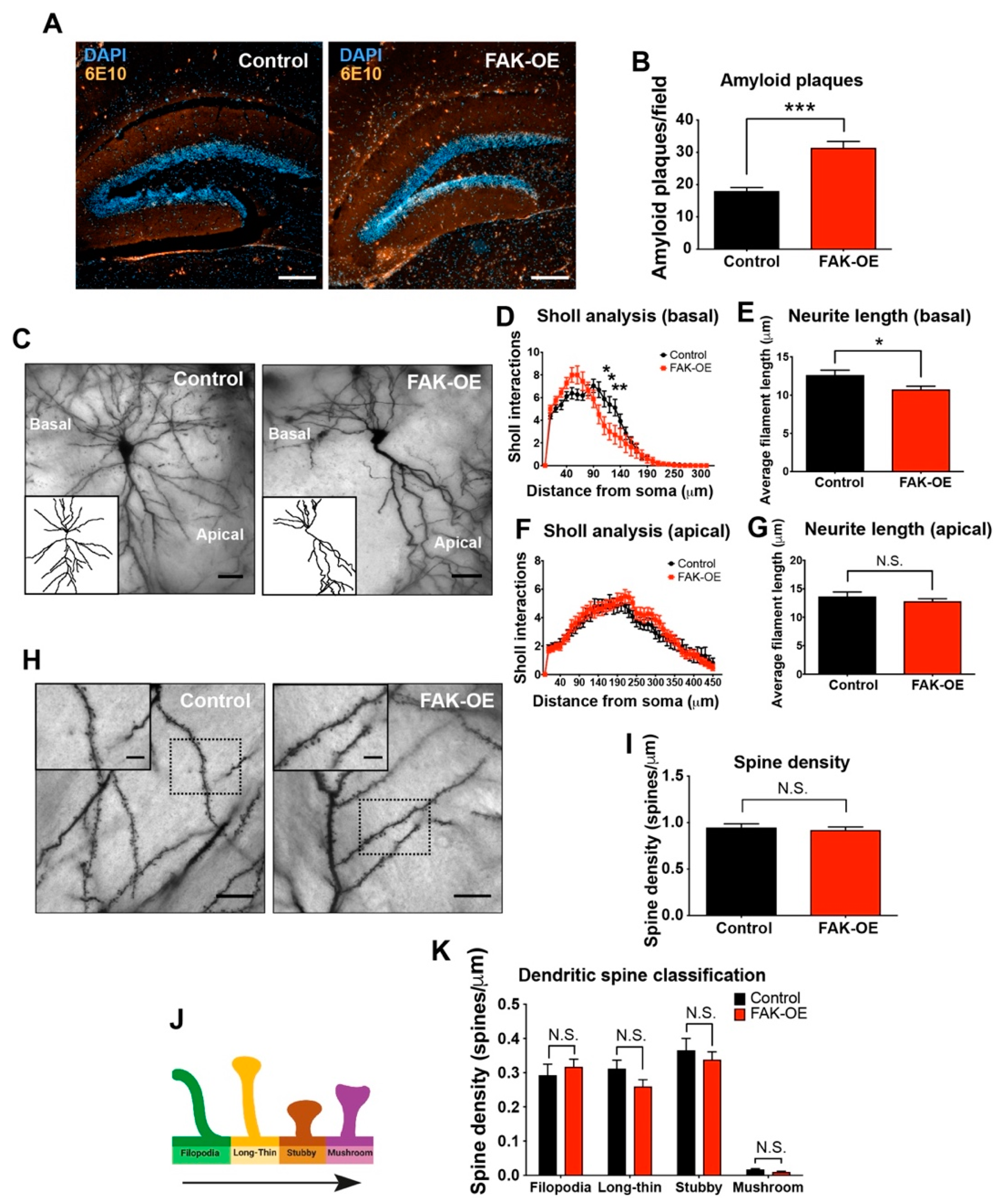 Ijms 23 09055 g003 Ijms 23 09055 g003