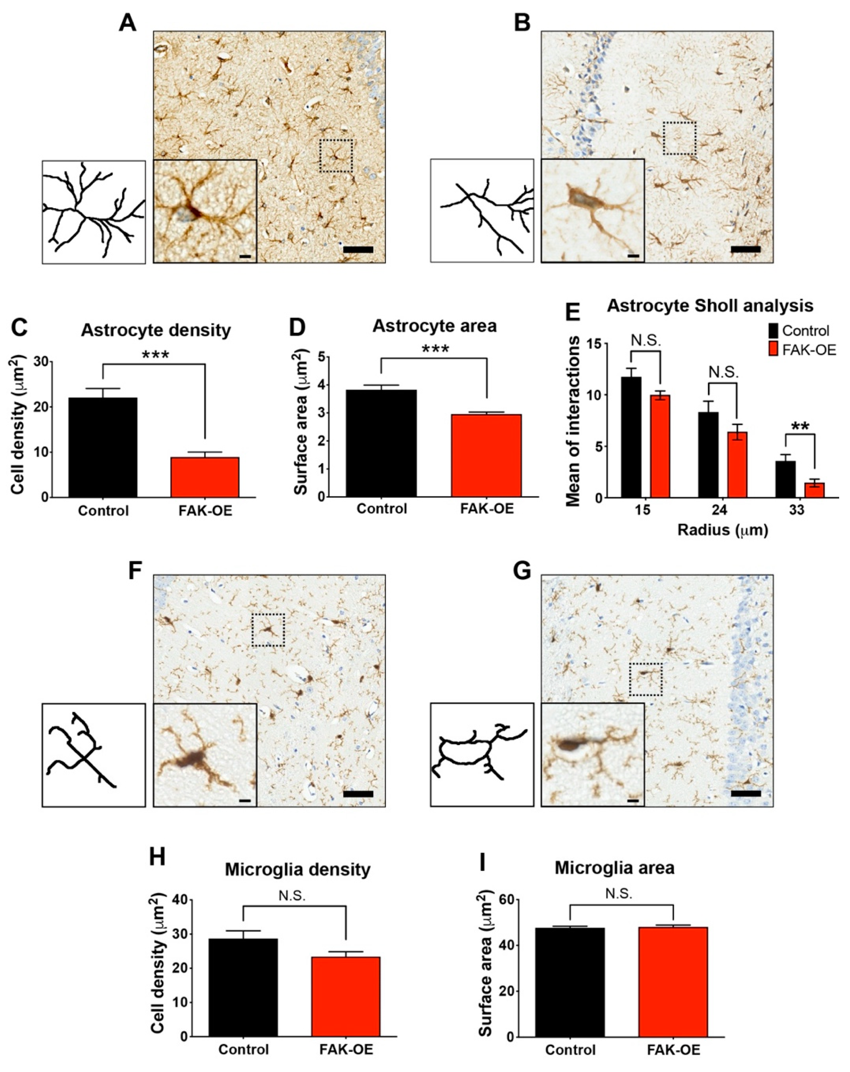 Ijms 23 09055 g004 Ijms 23 09055 g004