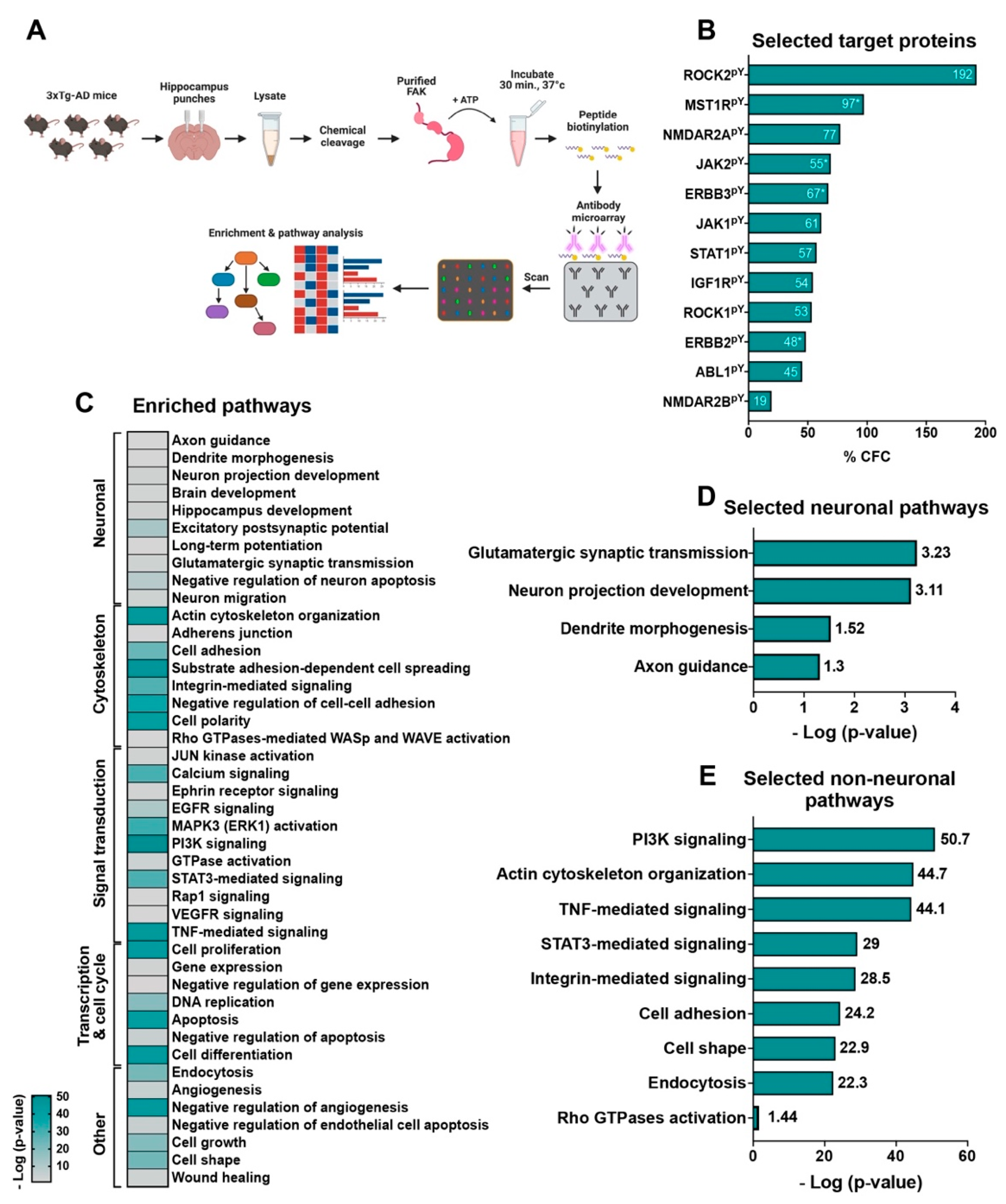 Ijms 23 09055 g005 Ijms 23 09055 g005