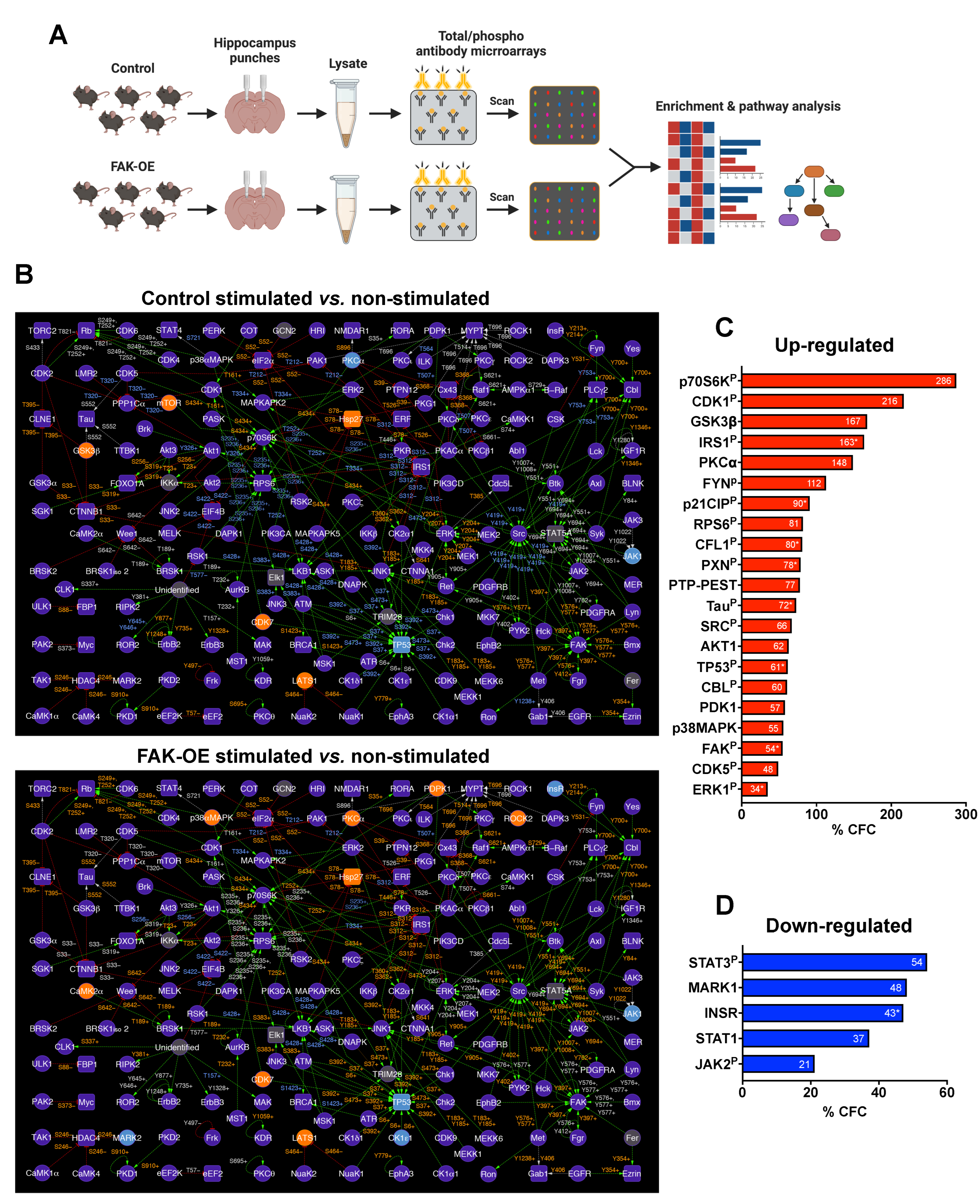 Ijms 23 09055 g006 Ijms 23 09055 g006