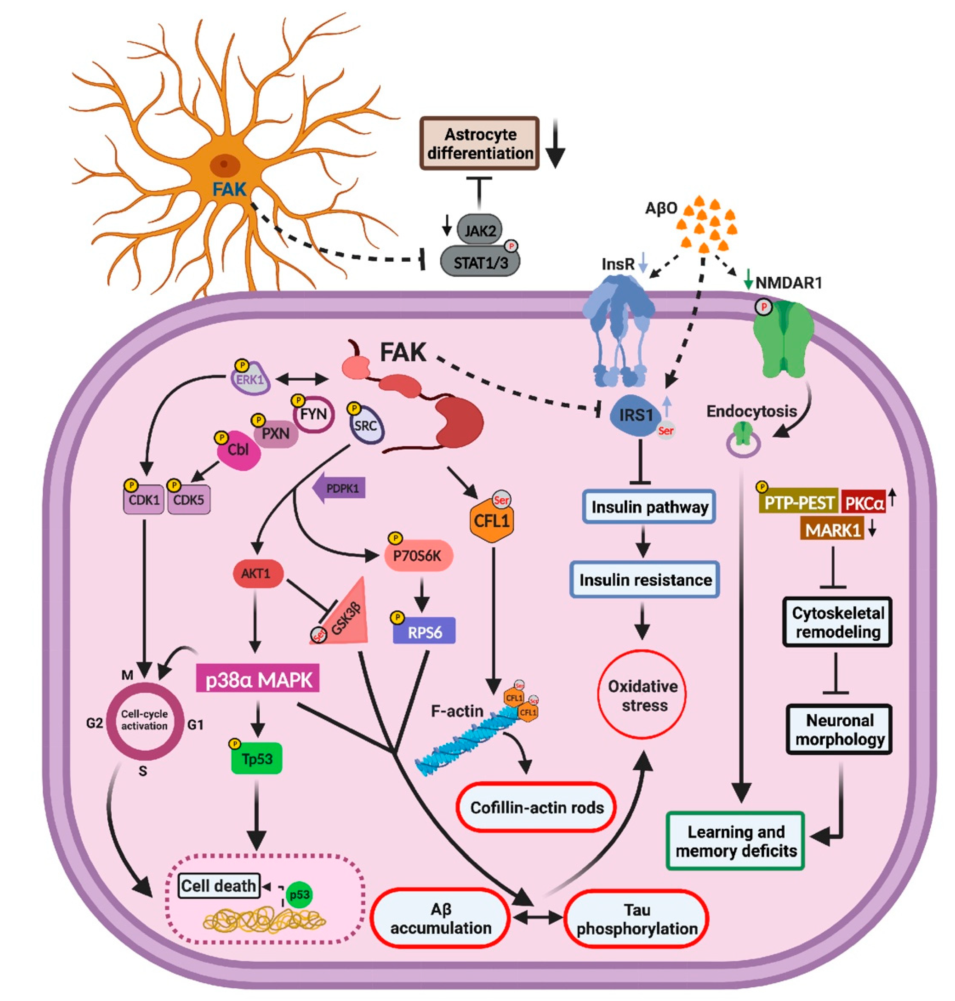 Ijms 23 09055 g008 Ijms 23 09055 g008