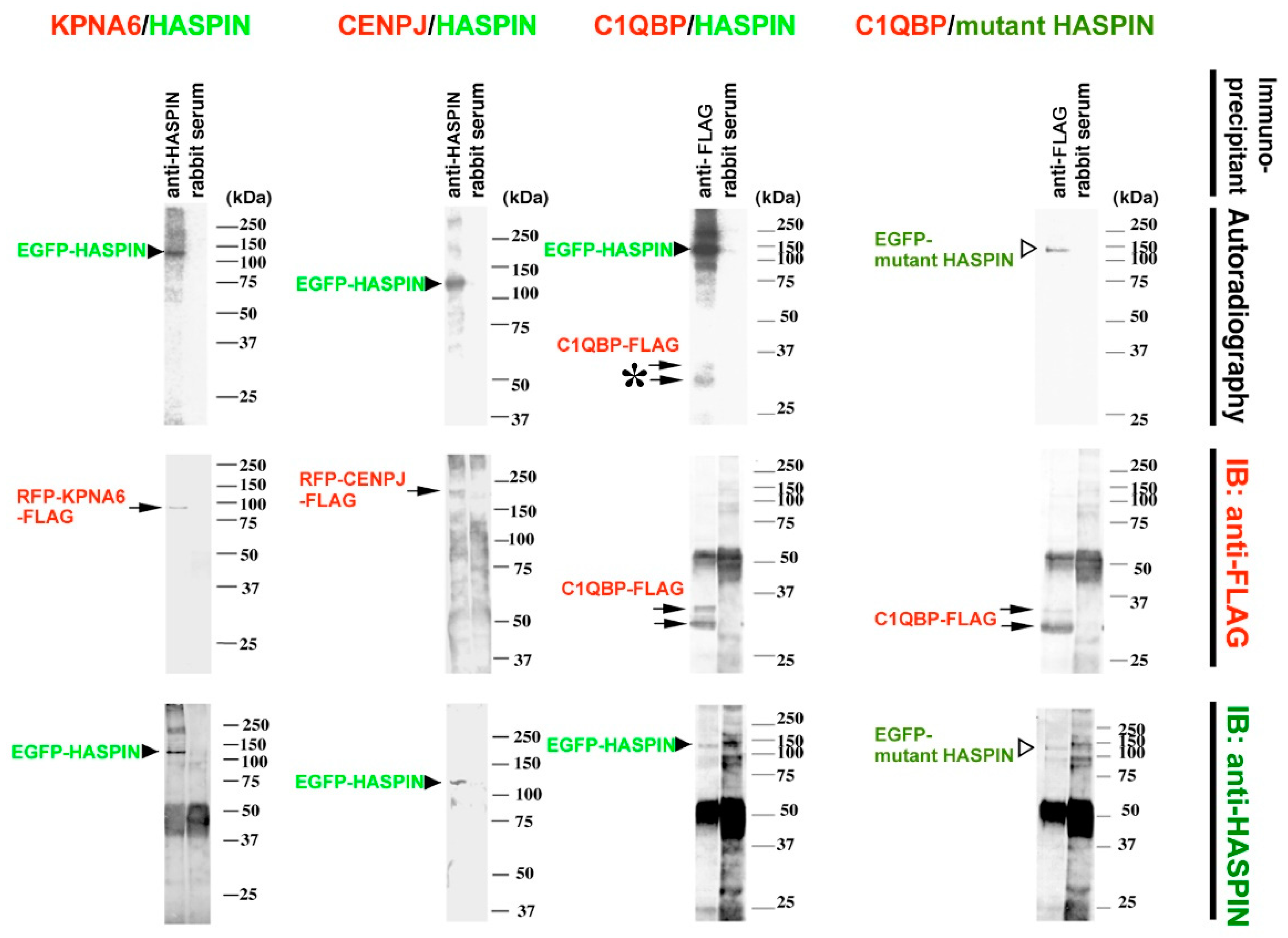 Ijms 23 09060 g010 Ijms 23 09060 g010