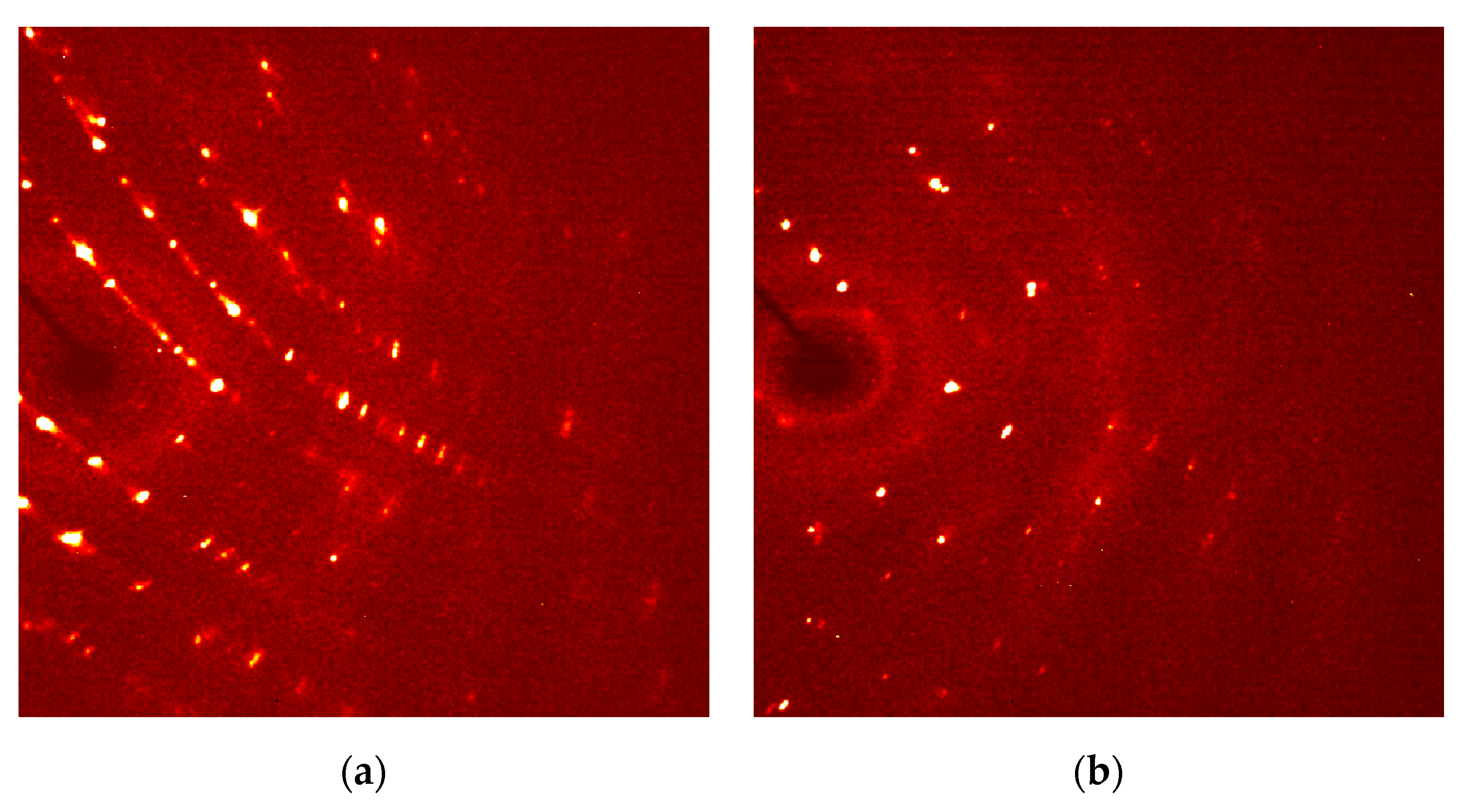 Ijms 23 09073 g003 Ijms 23 09073 g003