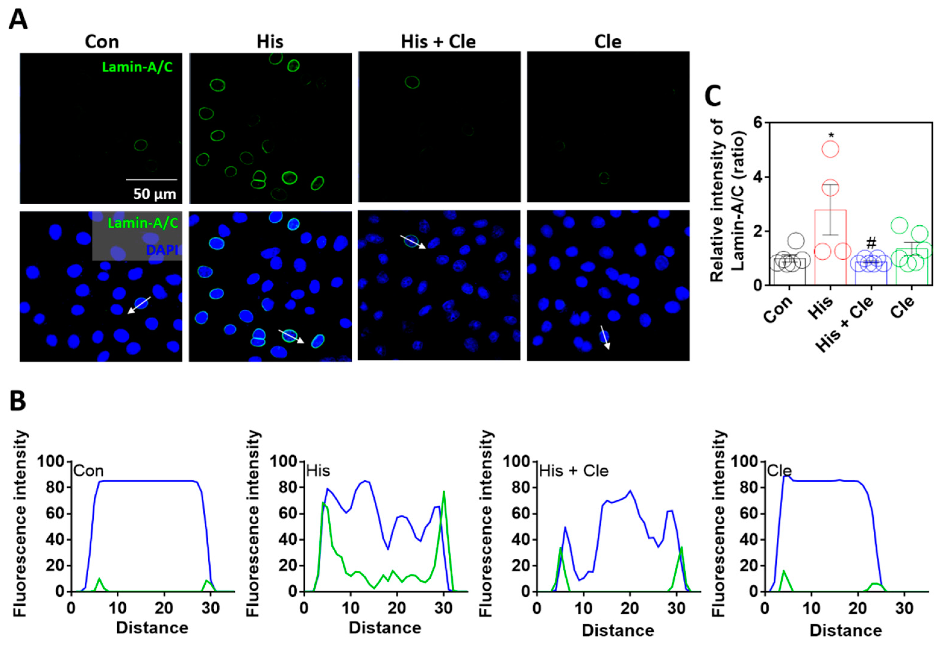 Ijms 23 09075 g002 Ijms 23 09075 g002