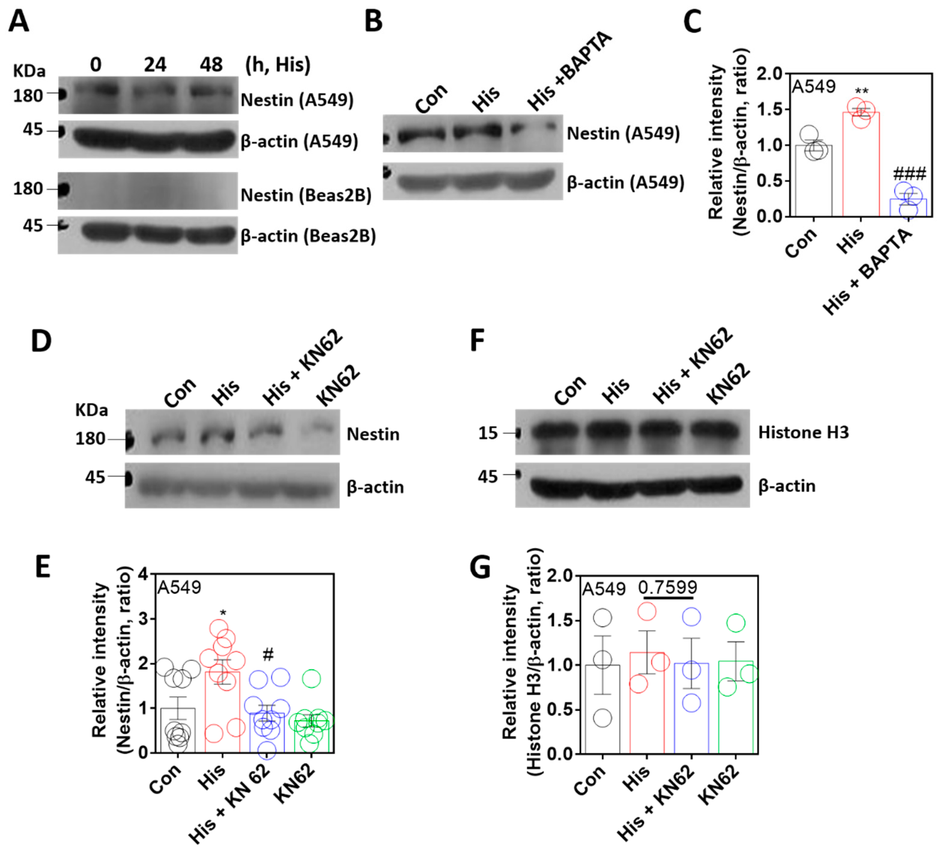 Ijms 23 09075 g004 Ijms 23 09075 g004