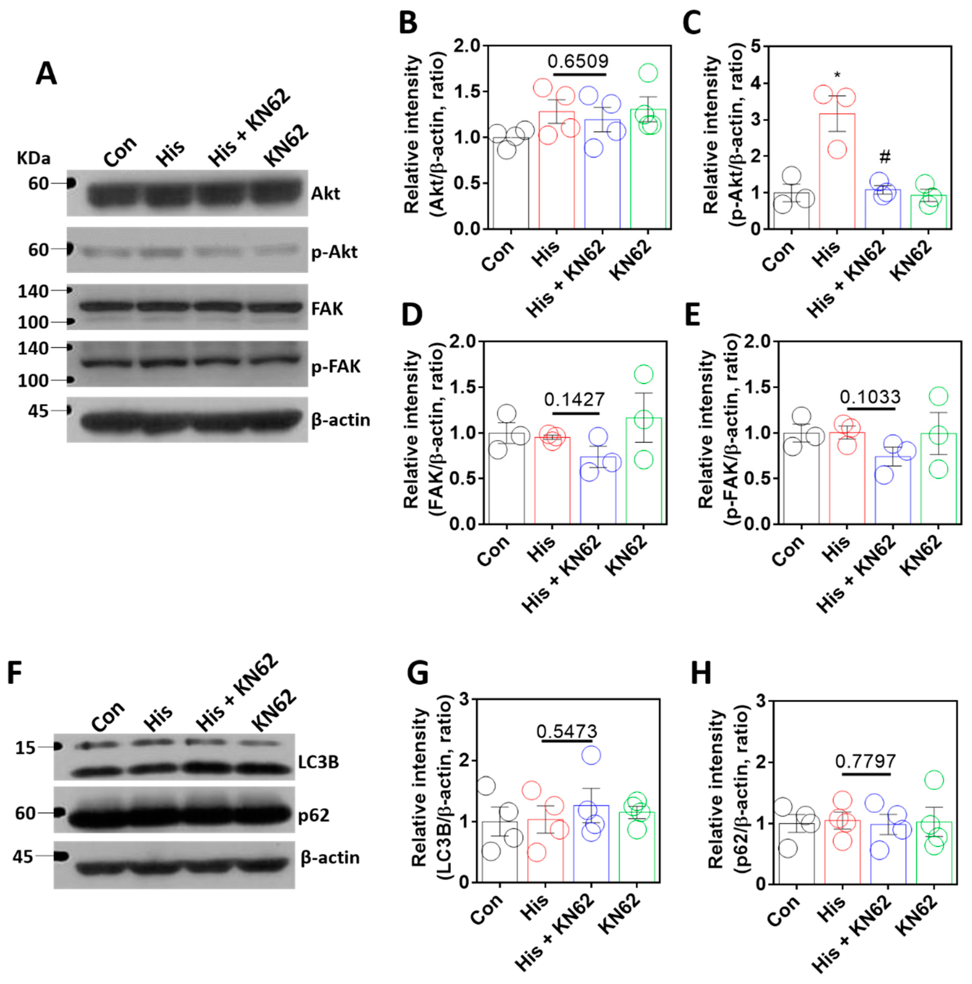Ijms 23 09075 g005 Ijms 23 09075 g005