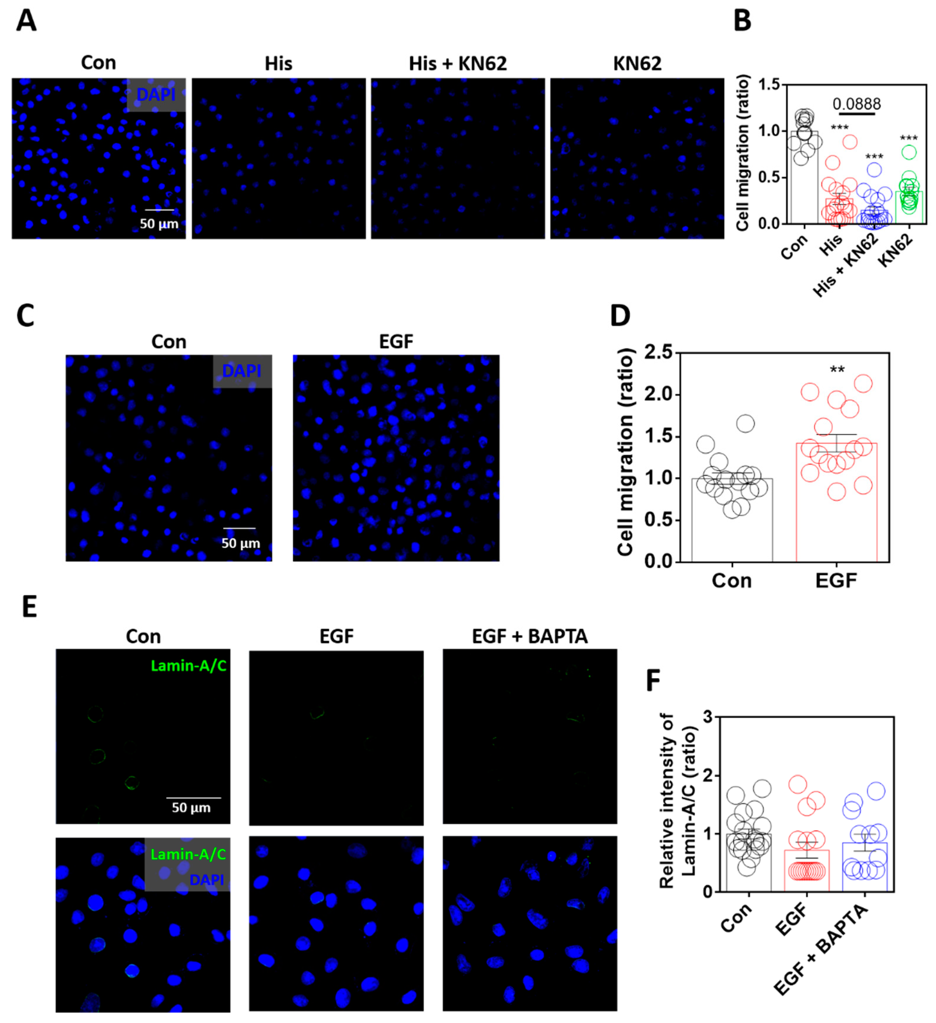 Ijms 23 09075 g006 Ijms 23 09075 g006