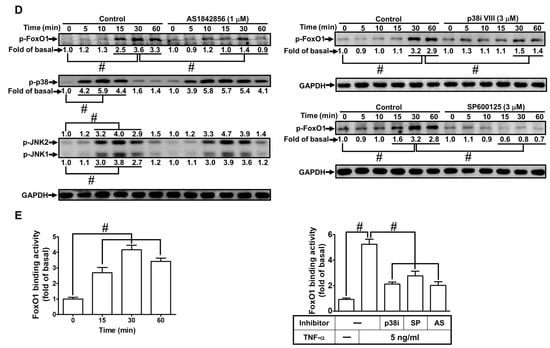 International Journal Of Molecular Sciences | An Open Access Journal ...