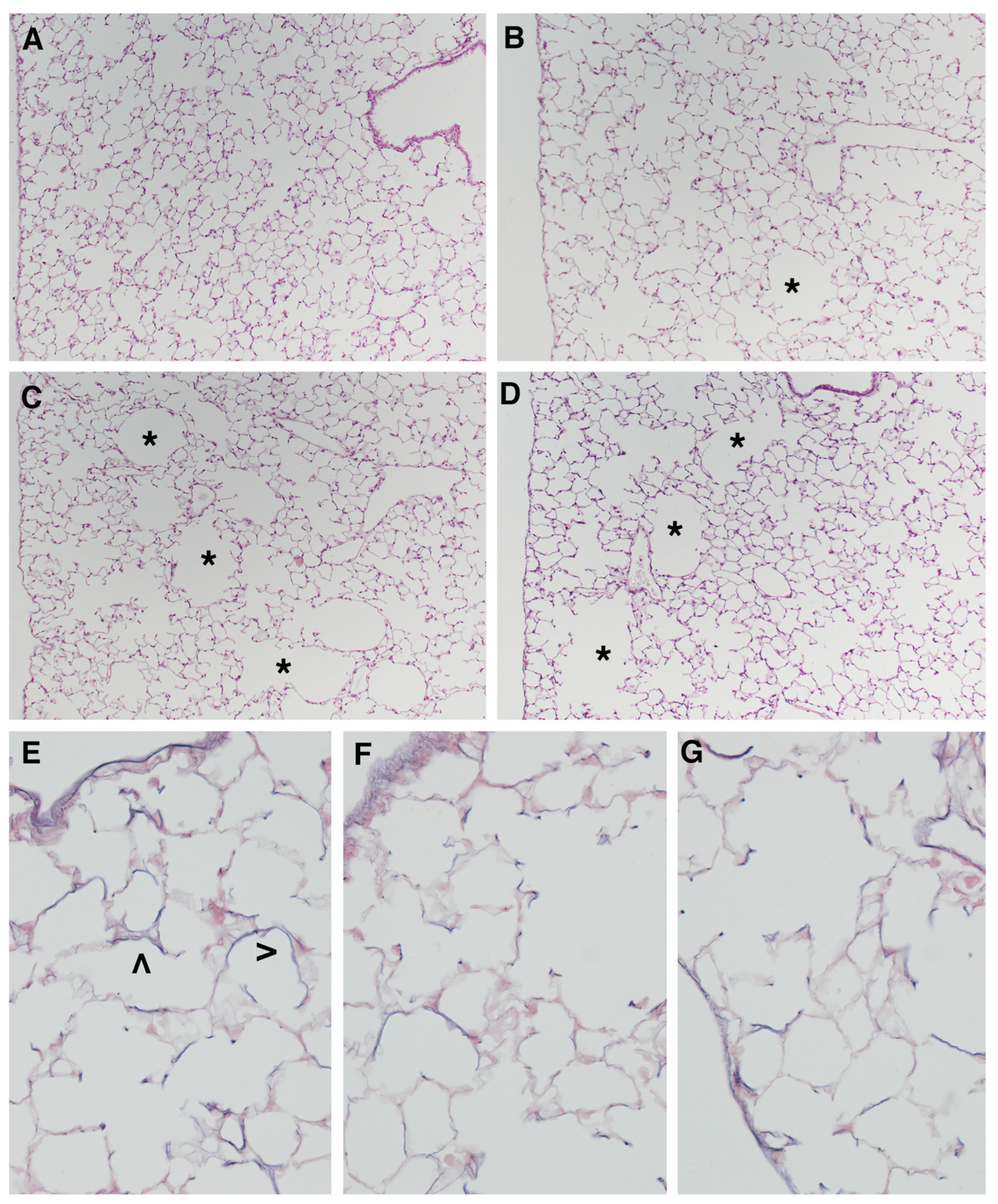 Ijms 23 09104 g001