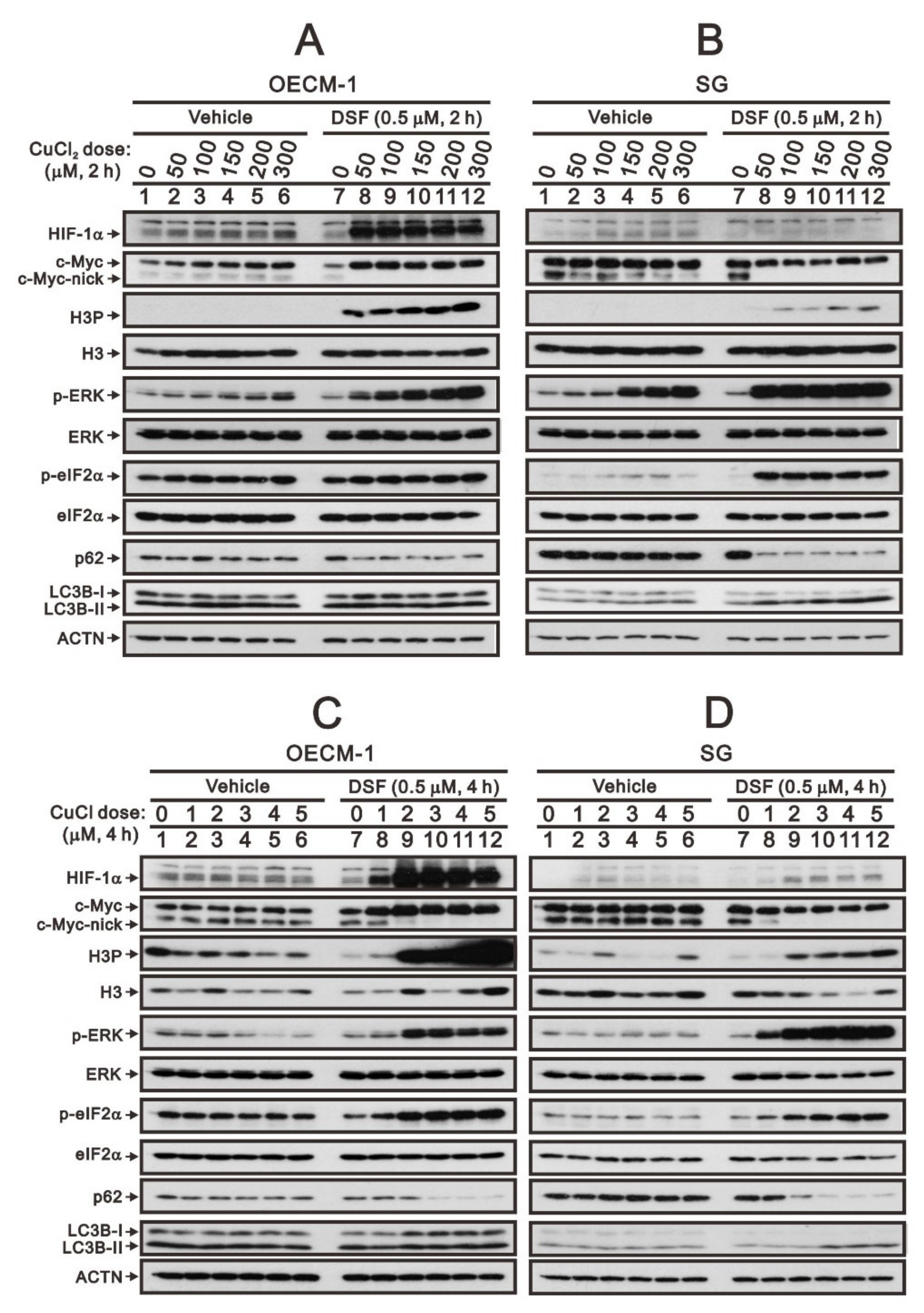 Ijms 23 09137 g001 Ijms 23 09137 g001