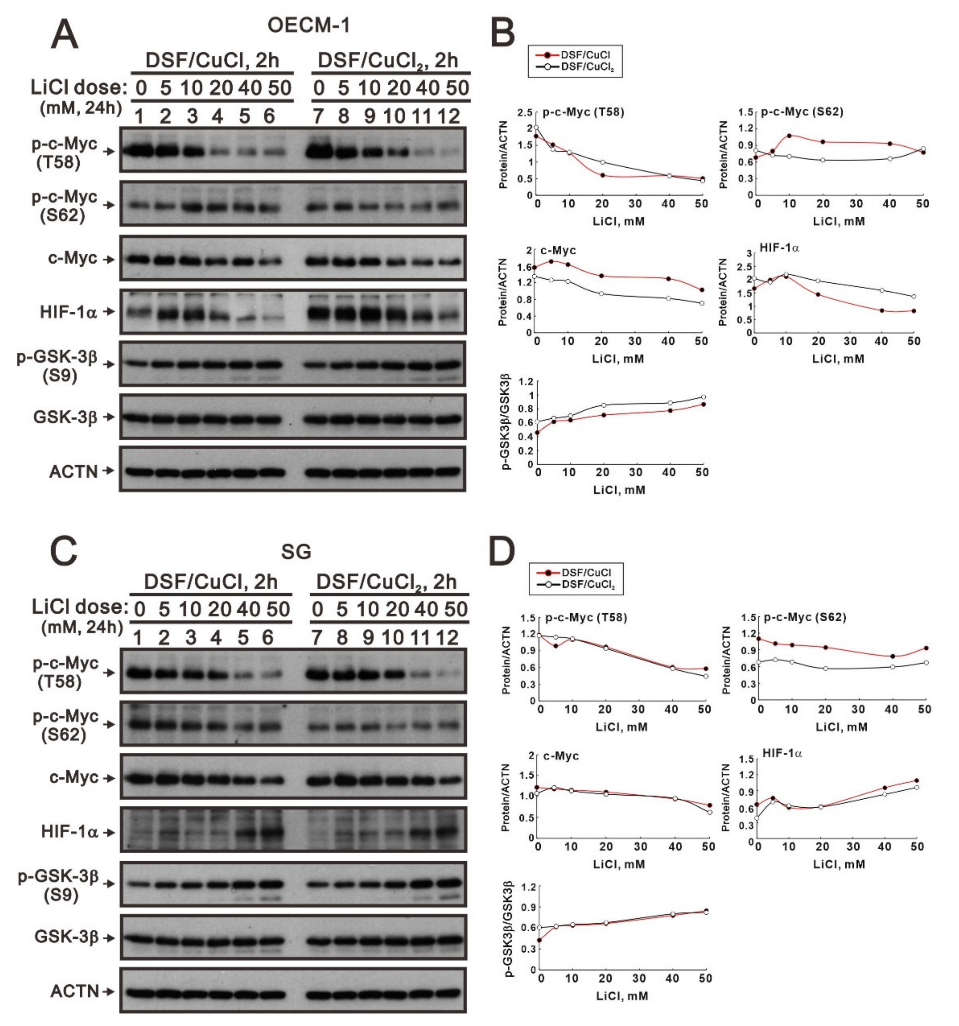 Ijms 23 09137 g006 Ijms 23 09137 g006