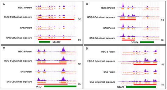 International Journal Of Molecular Sciences | An Open Access Journal ...