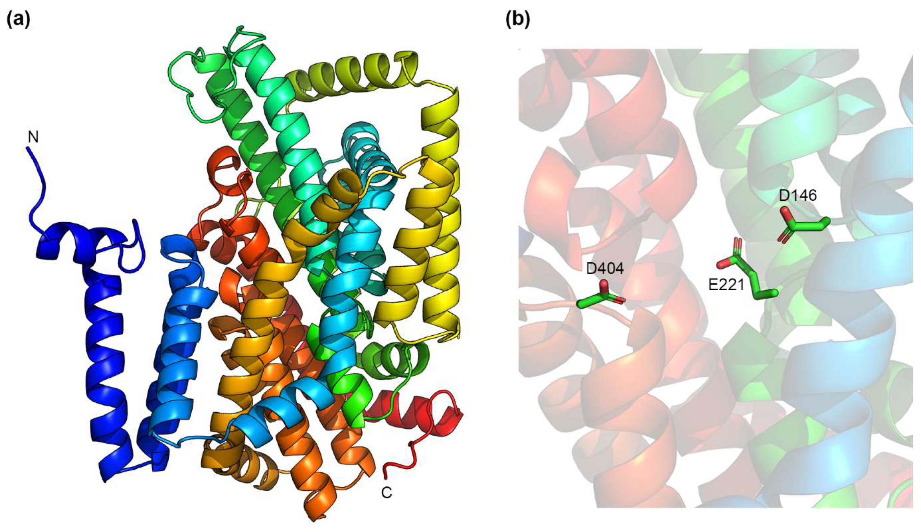 Ijms 23 09156 g002 Ijms 23 09156 g002