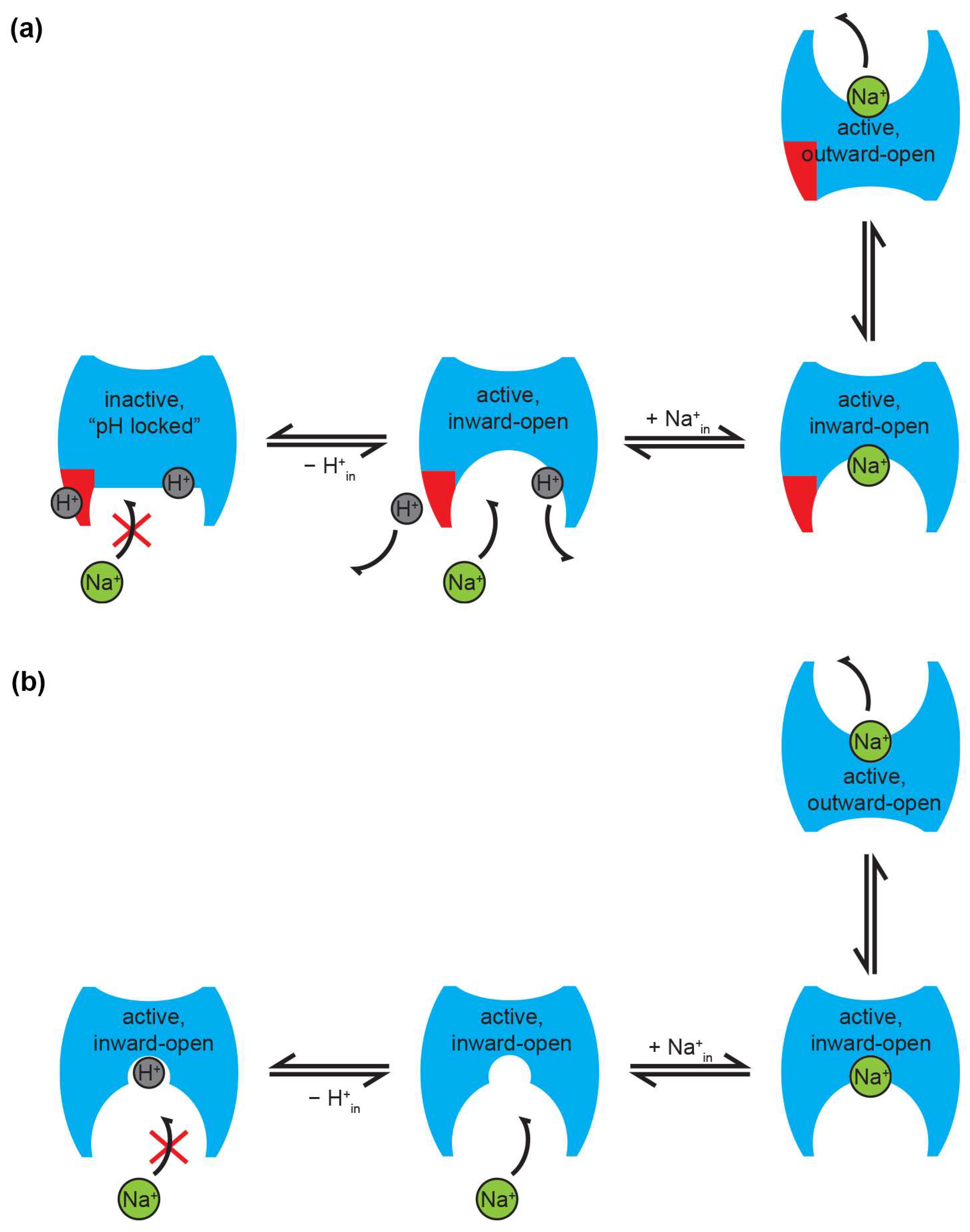 Ijms 23 09156 g003 Ijms 23 09156 g003