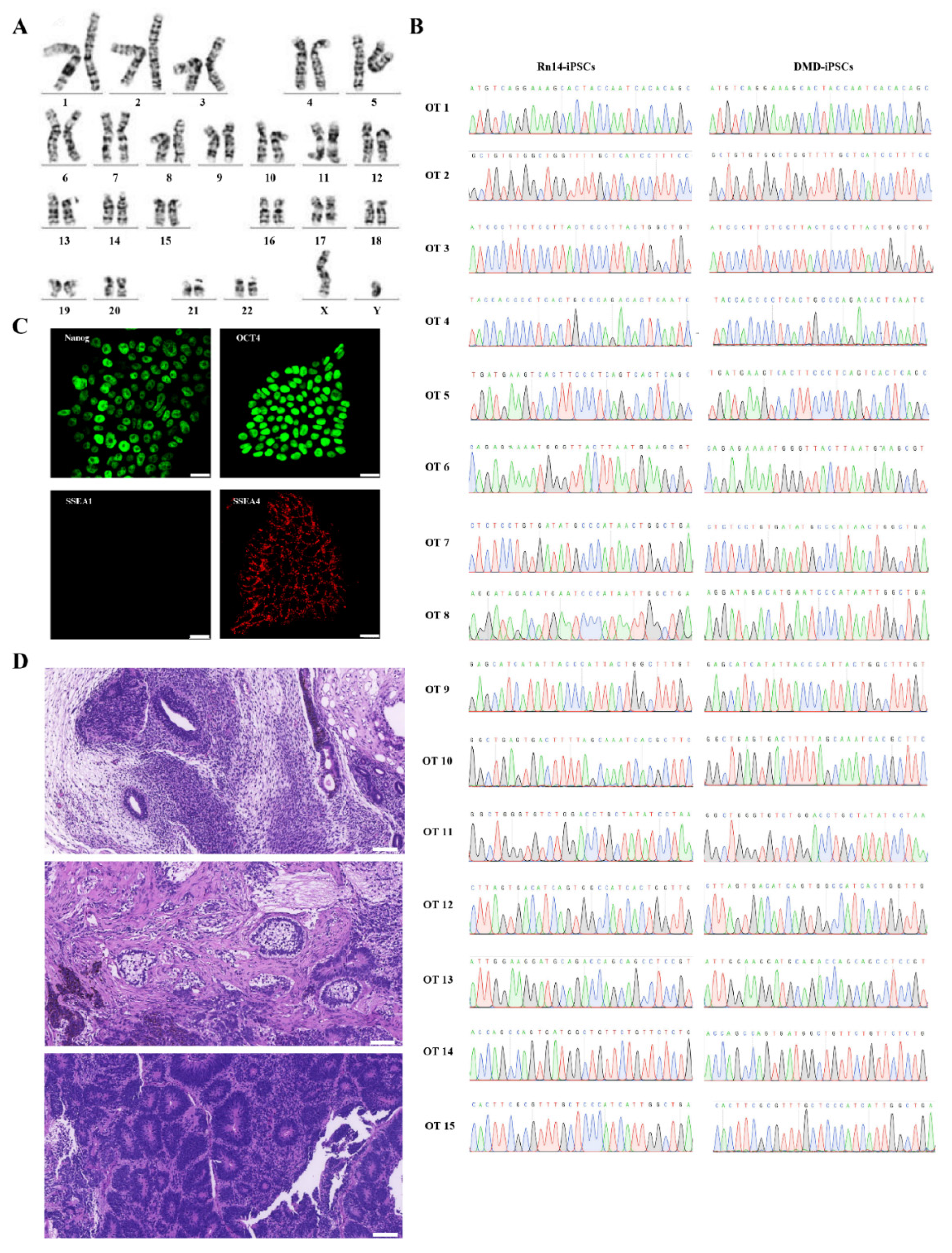 Ijms 23 09176 g003