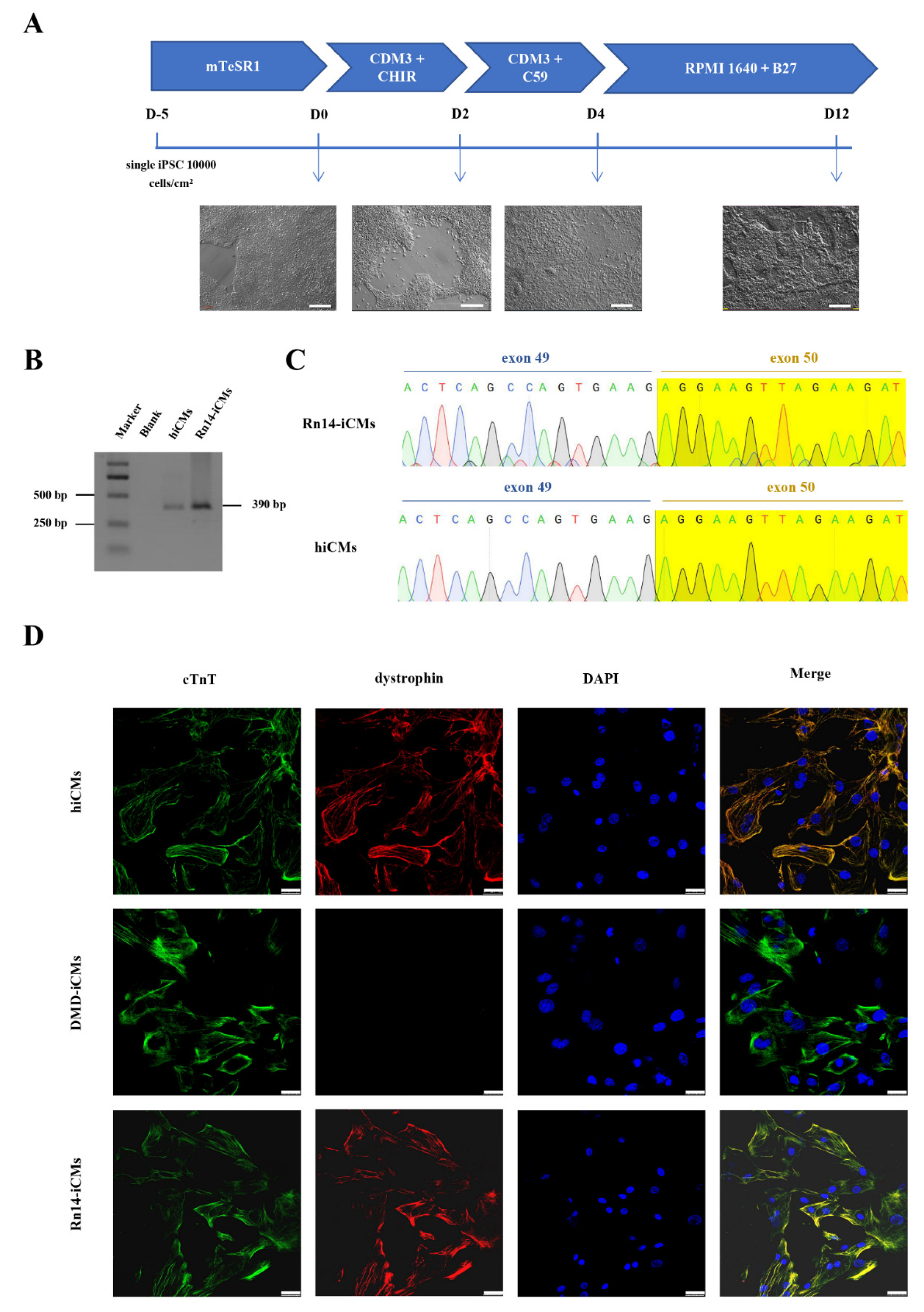 Ijms 23 09176 g004