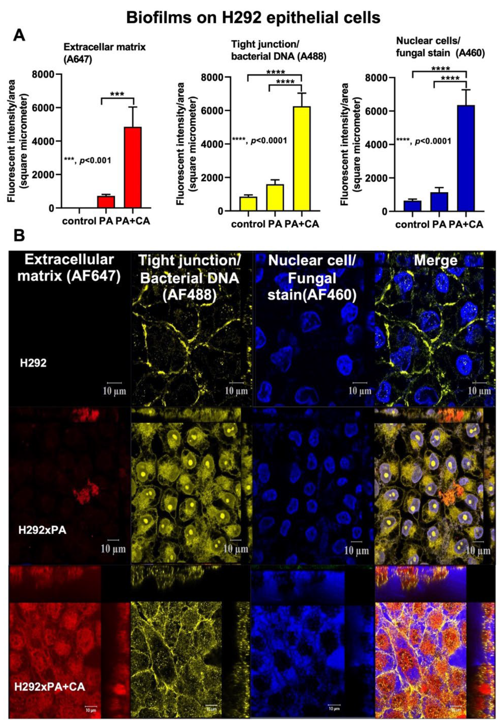 Ijms 23 09202 g001 Ijms 23 09202 g001