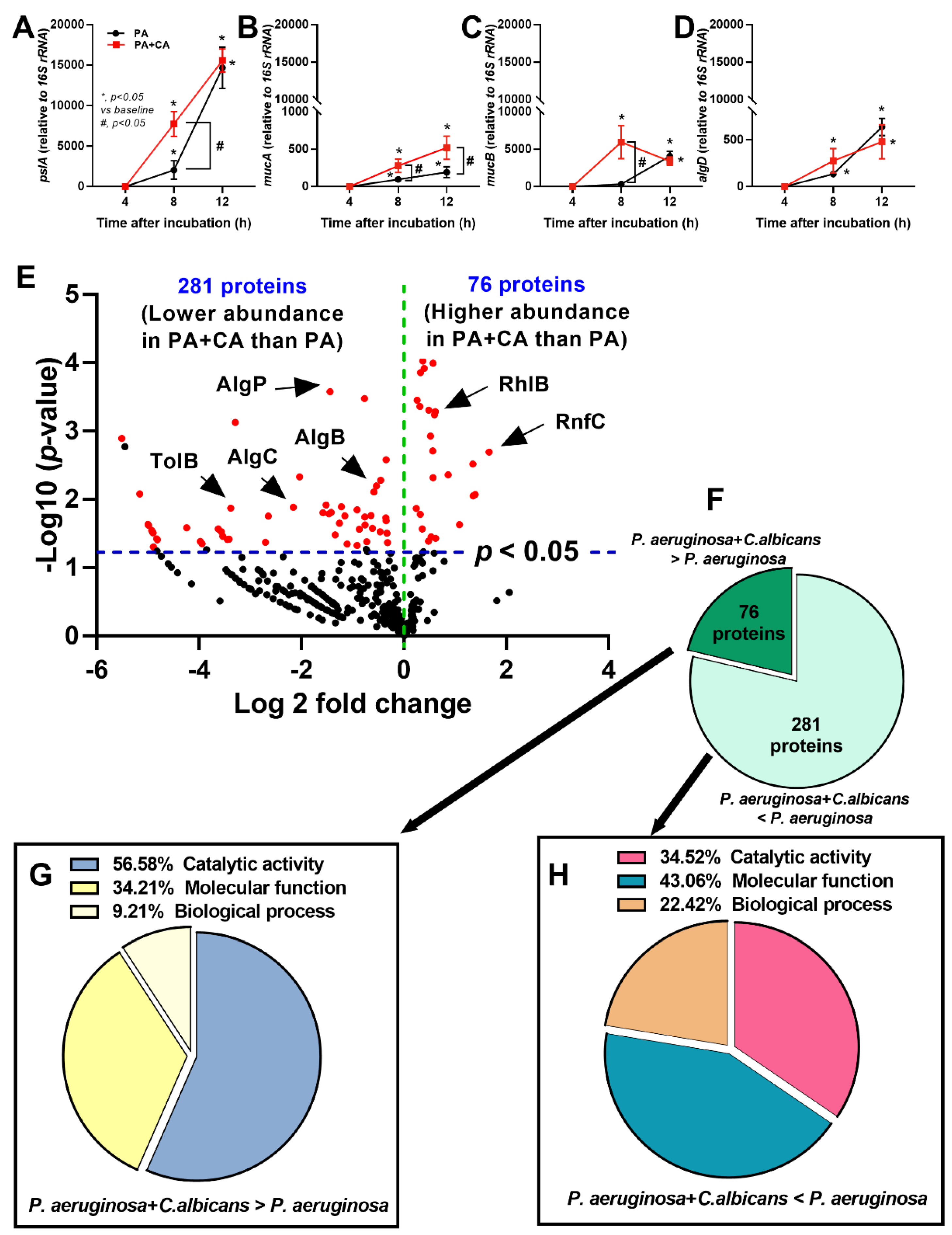 Ijms 23 09202 g002 Ijms 23 09202 g002