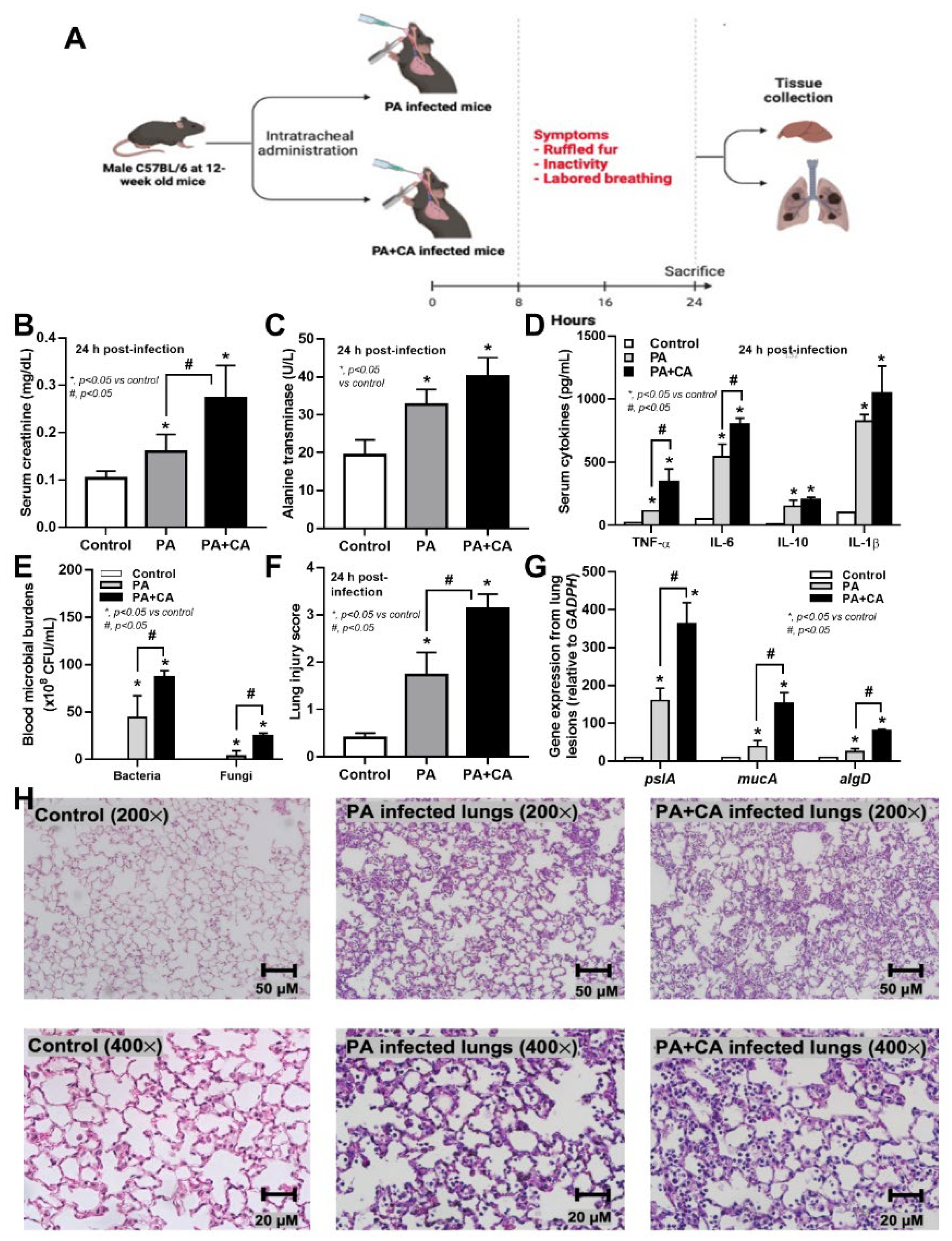 Ijms 23 09202 g004 Ijms 23 09202 g004