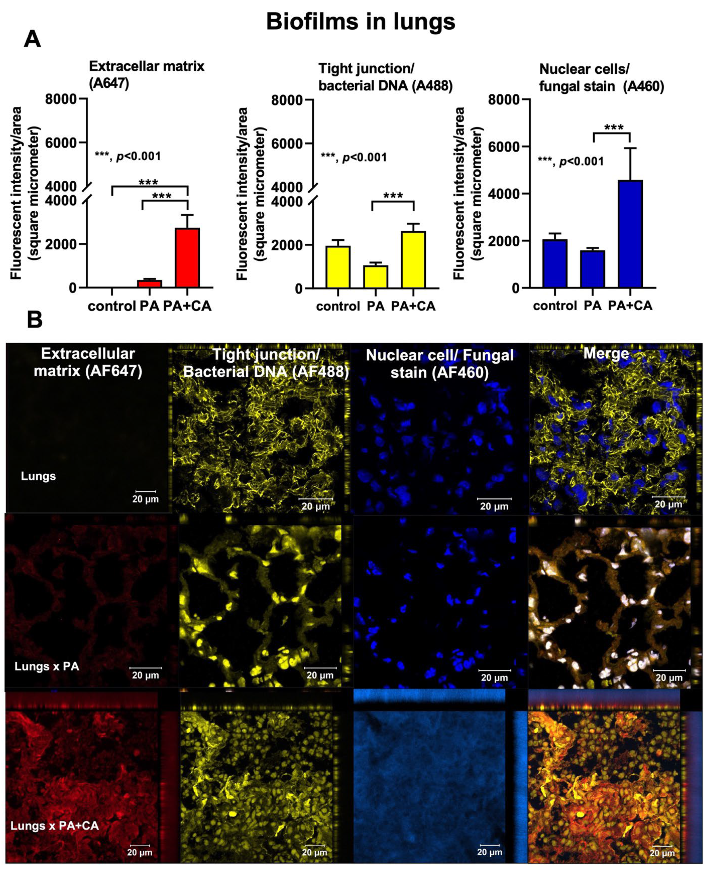 Ijms 23 09202 g005 Ijms 23 09202 g005