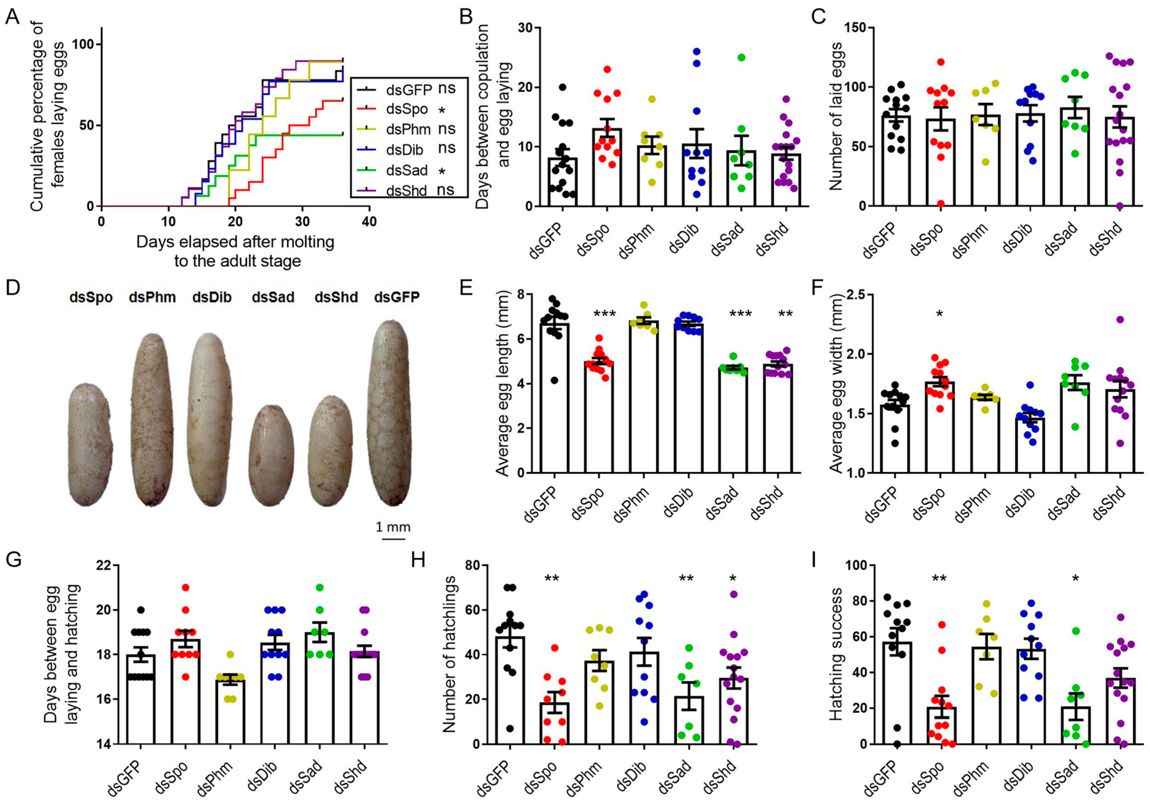 Ijms 23 09232 g003 Ijms 23 09232 g003